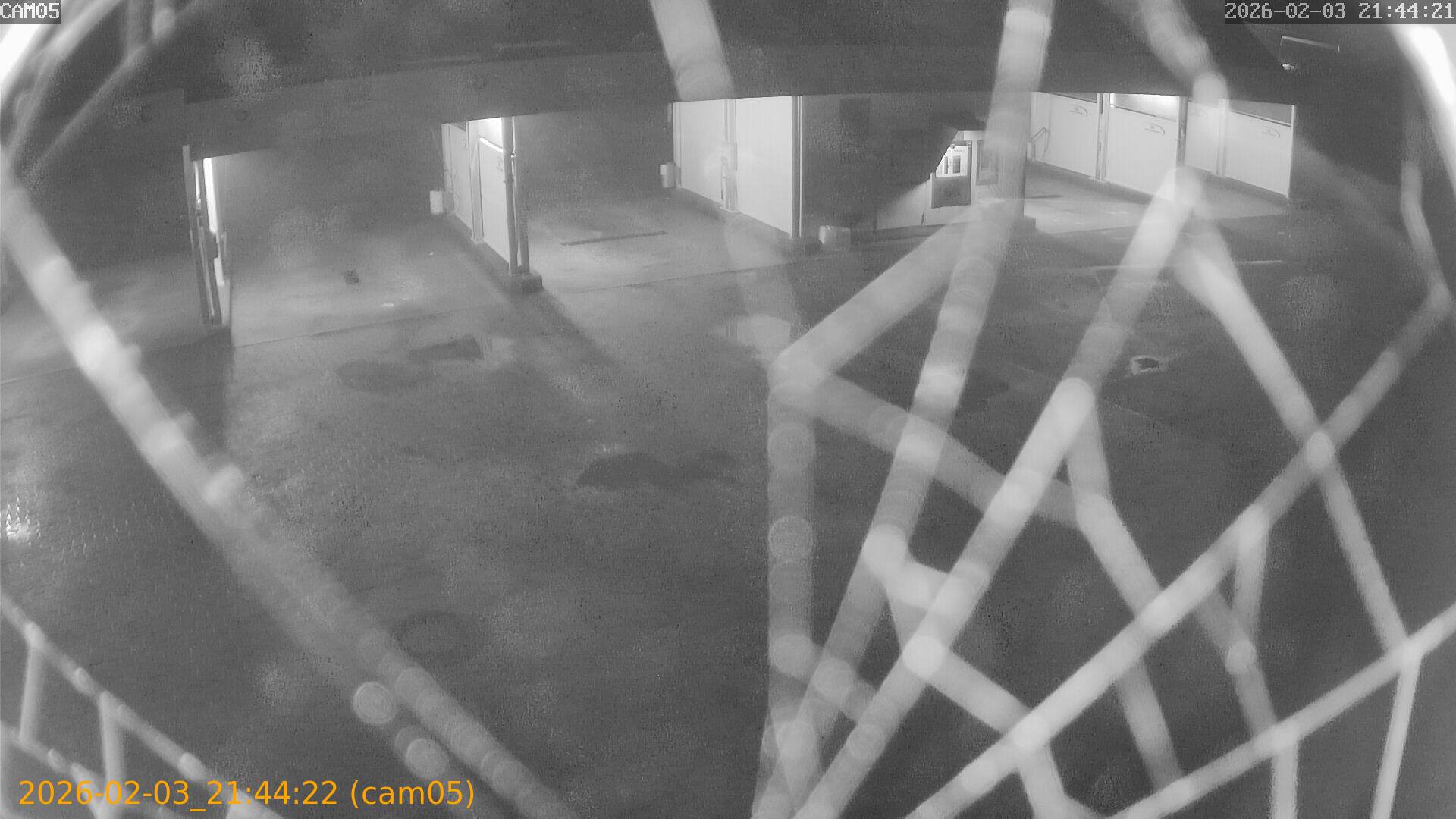 thumbnail_20260203214422