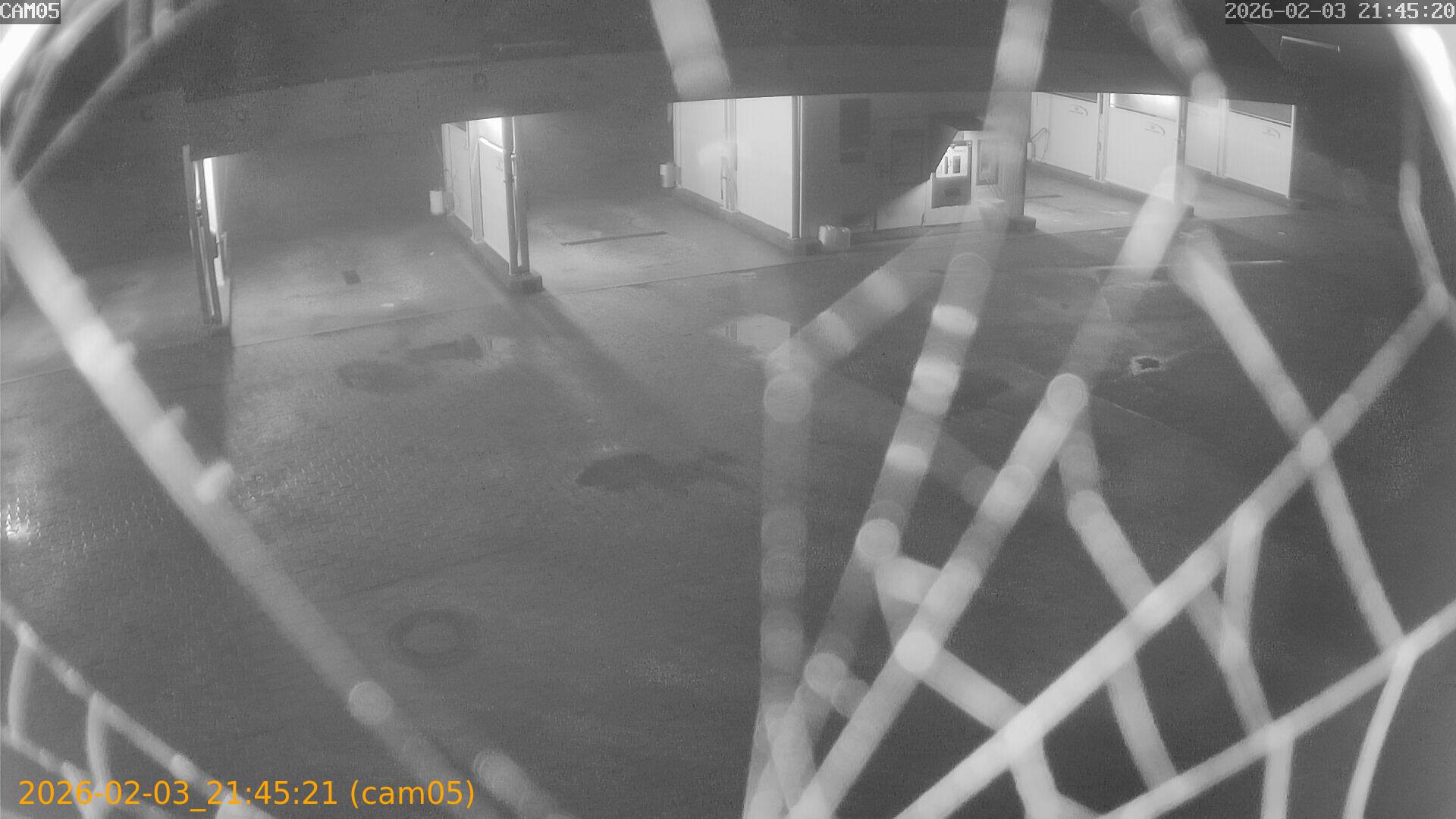 thumbnail_20260203214521