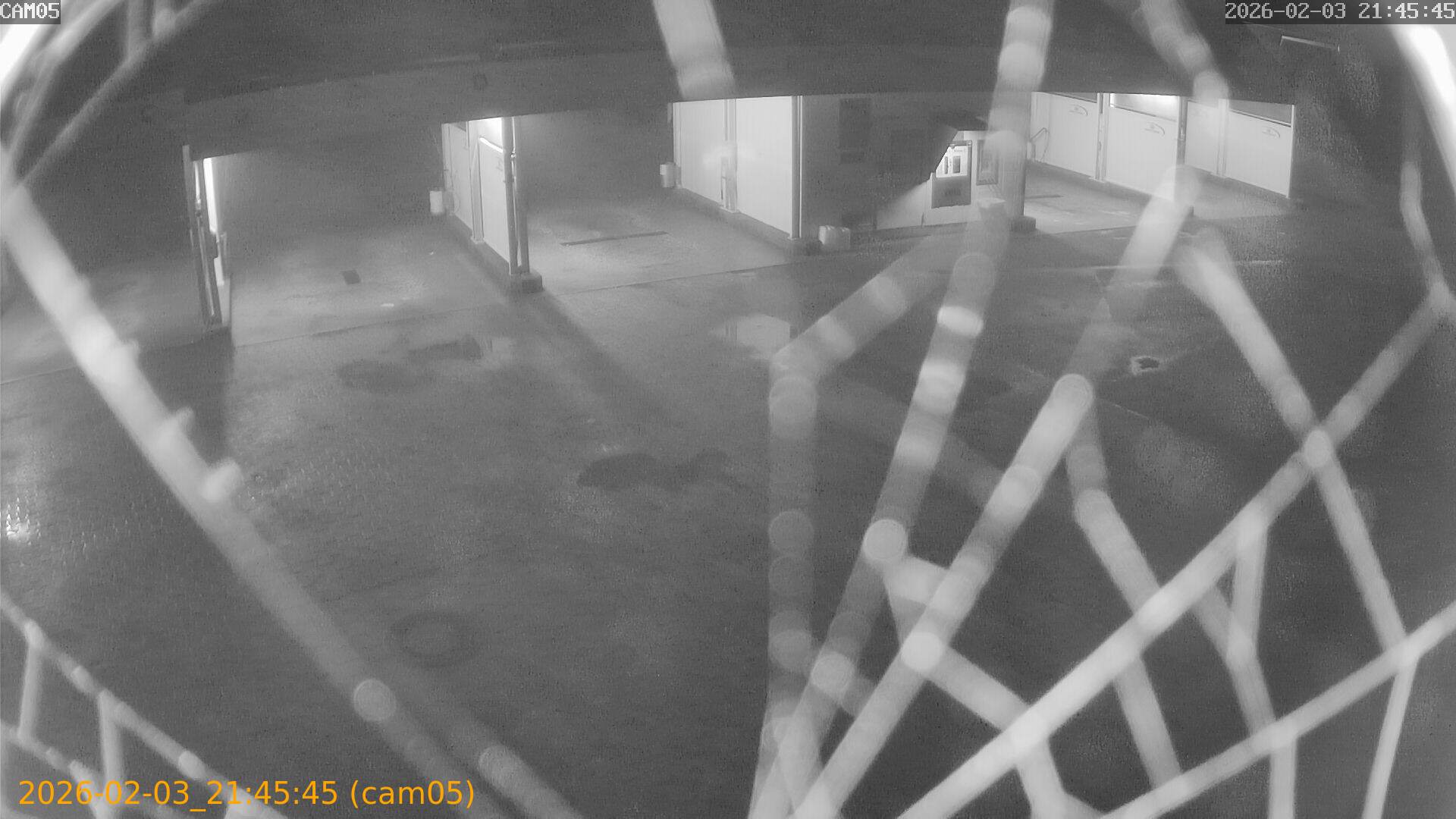 thumbnail_20260203214545