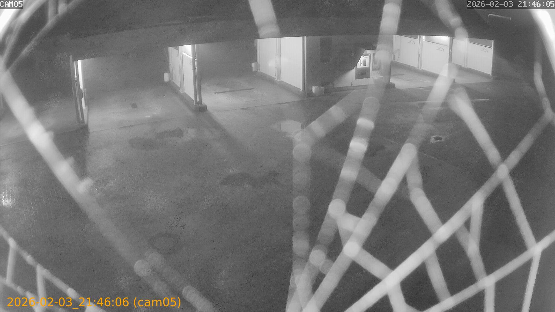 thumbnail_20260203214606