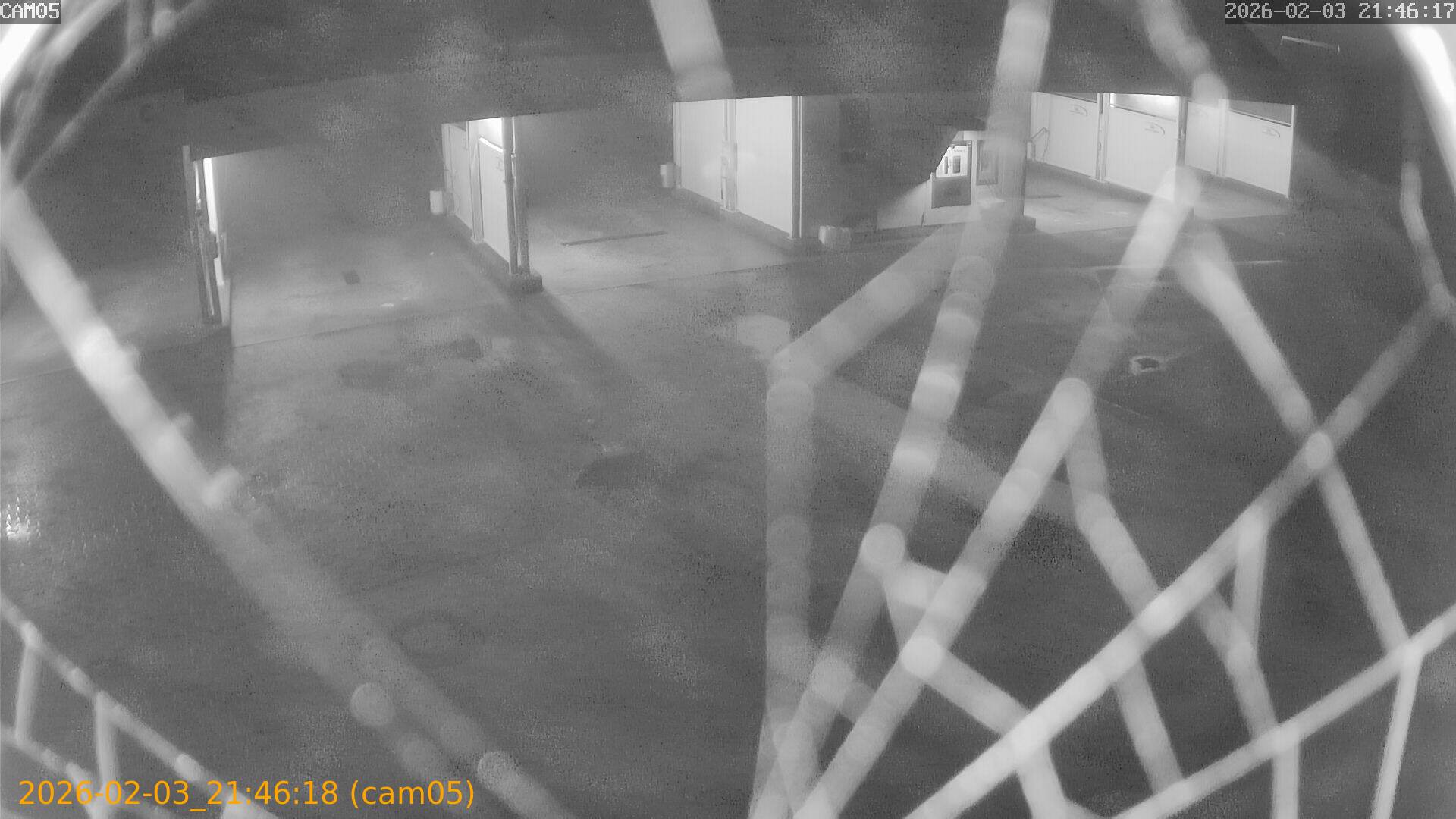 thumbnail_20260203214618