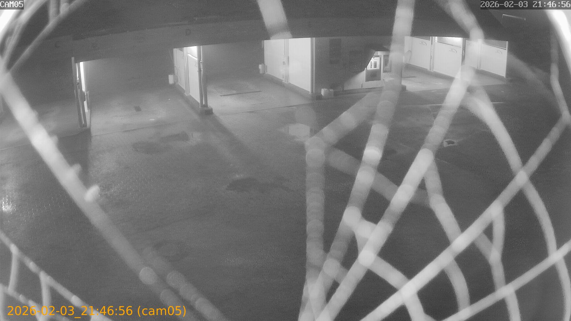 thumbnail_20260203214656