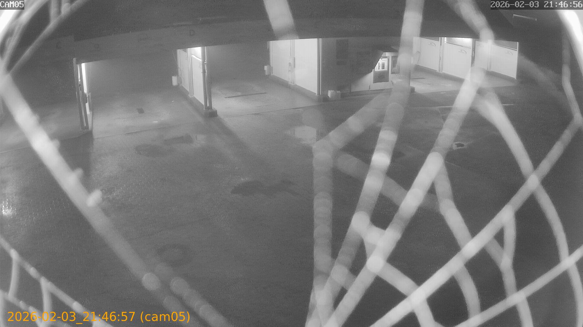 thumbnail_20260203214657