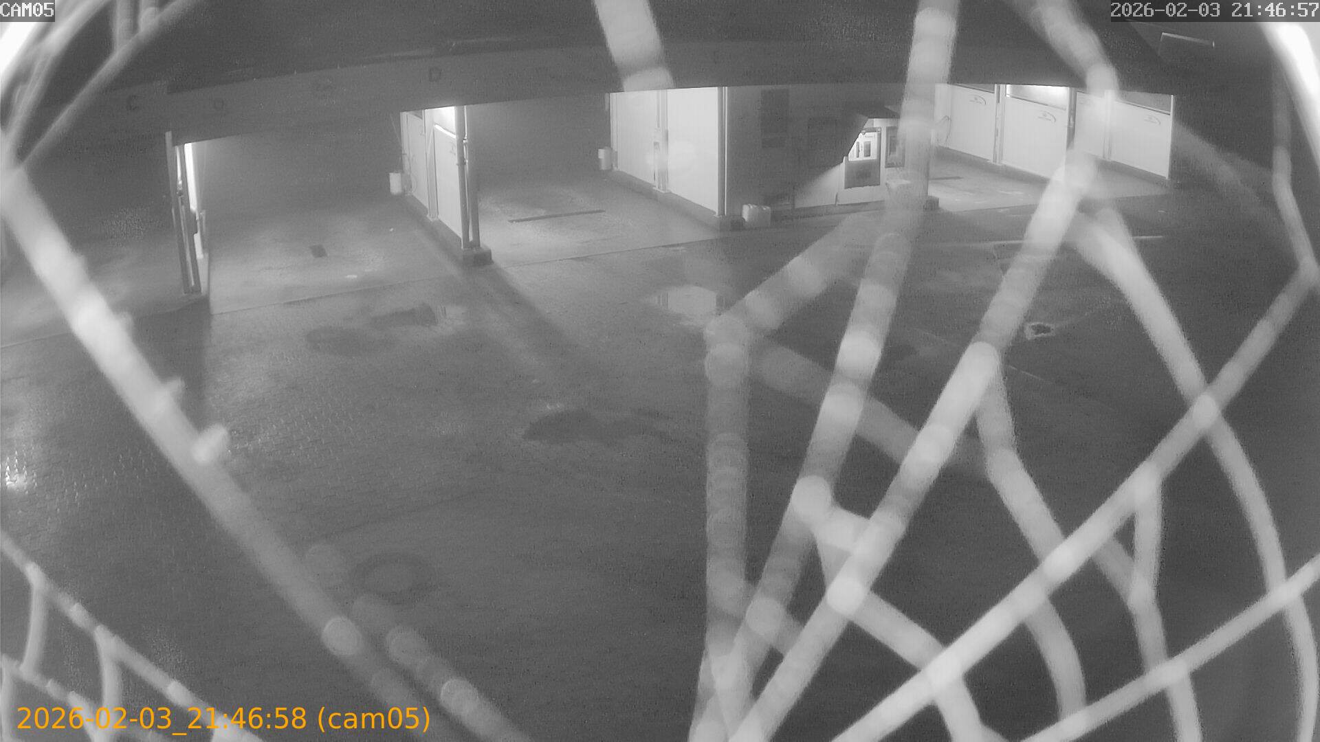 thumbnail_20260203214658