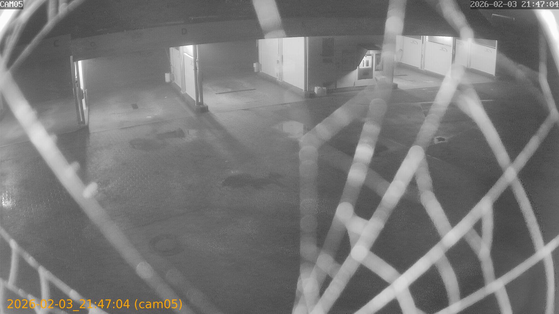 thumbnail_20260203214704