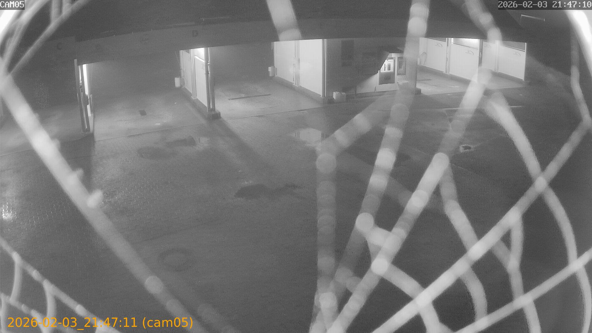 thumbnail_20260203214711