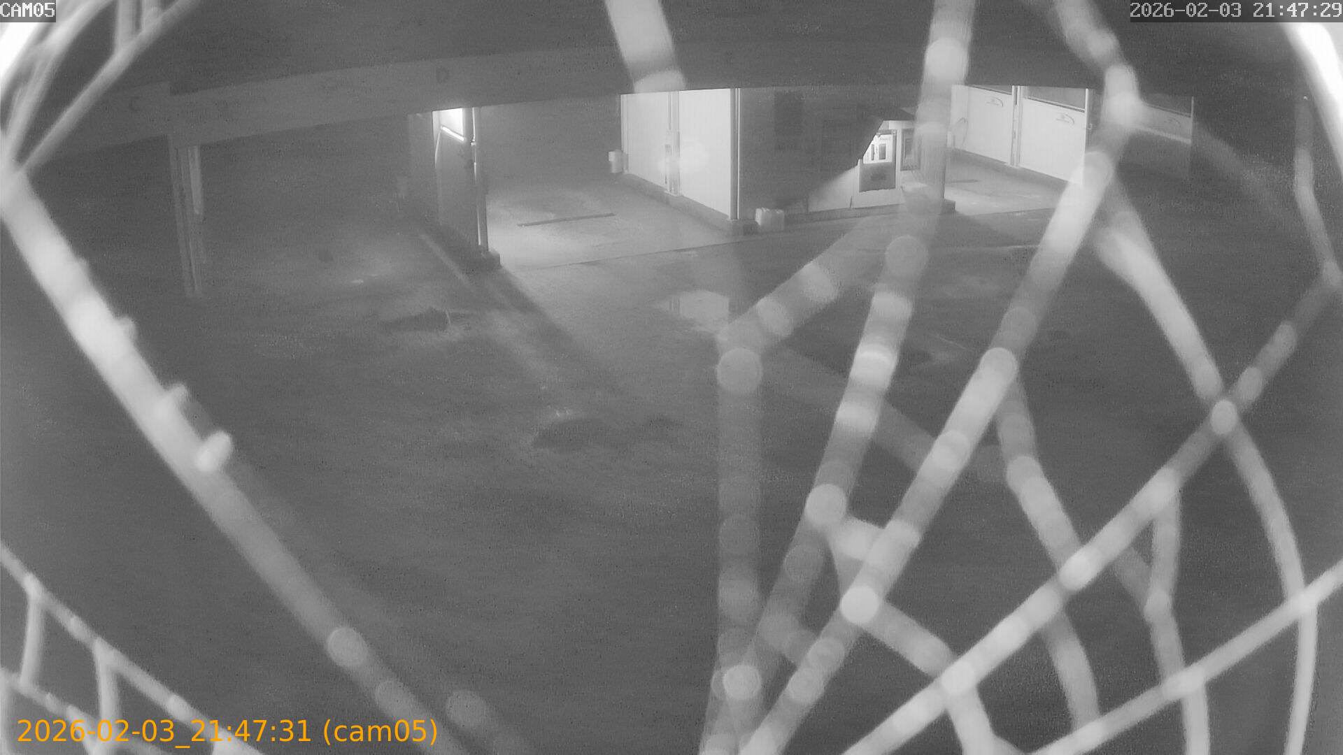 thumbnail_20260203214731