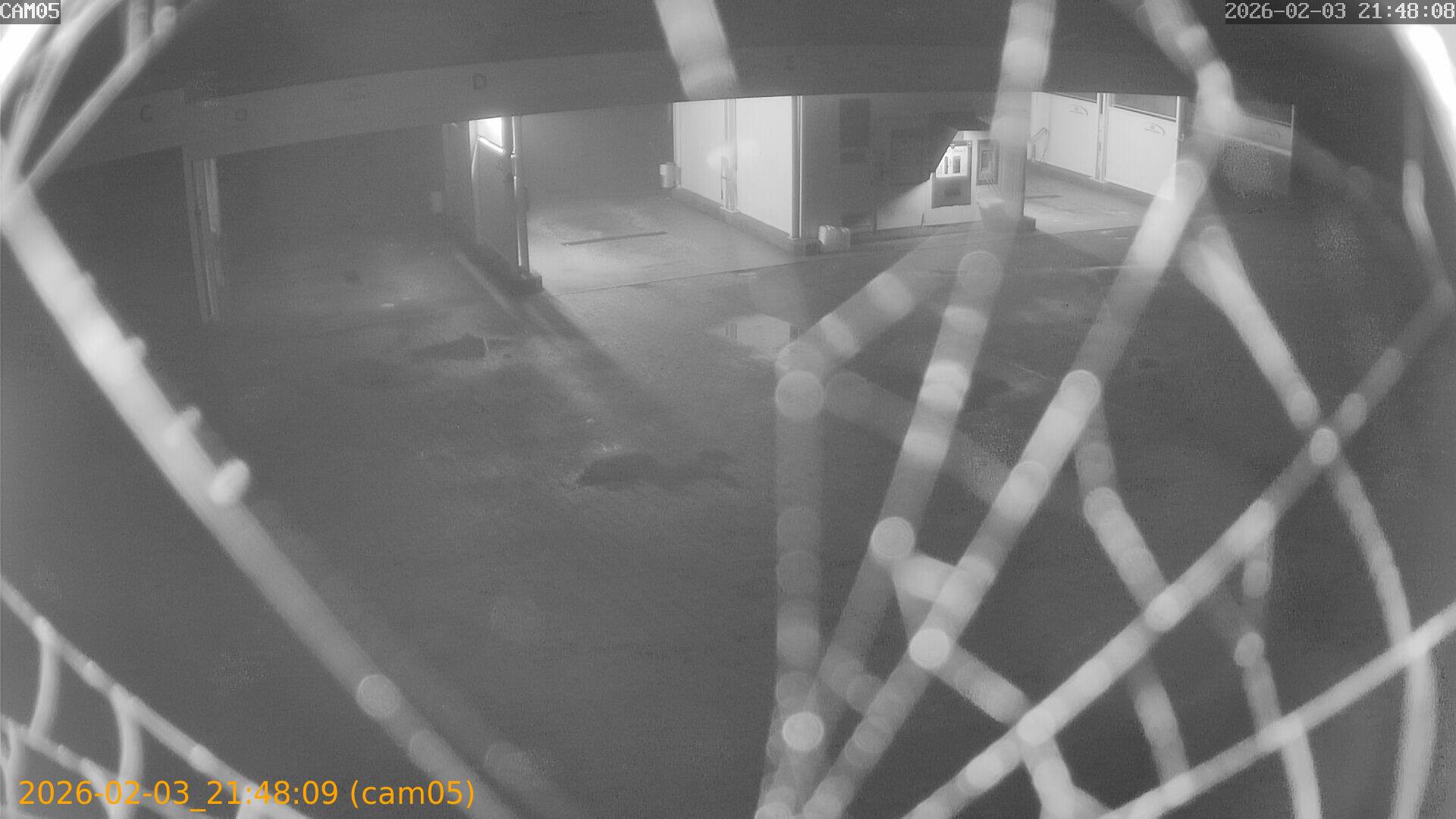 thumbnail_20260203214809