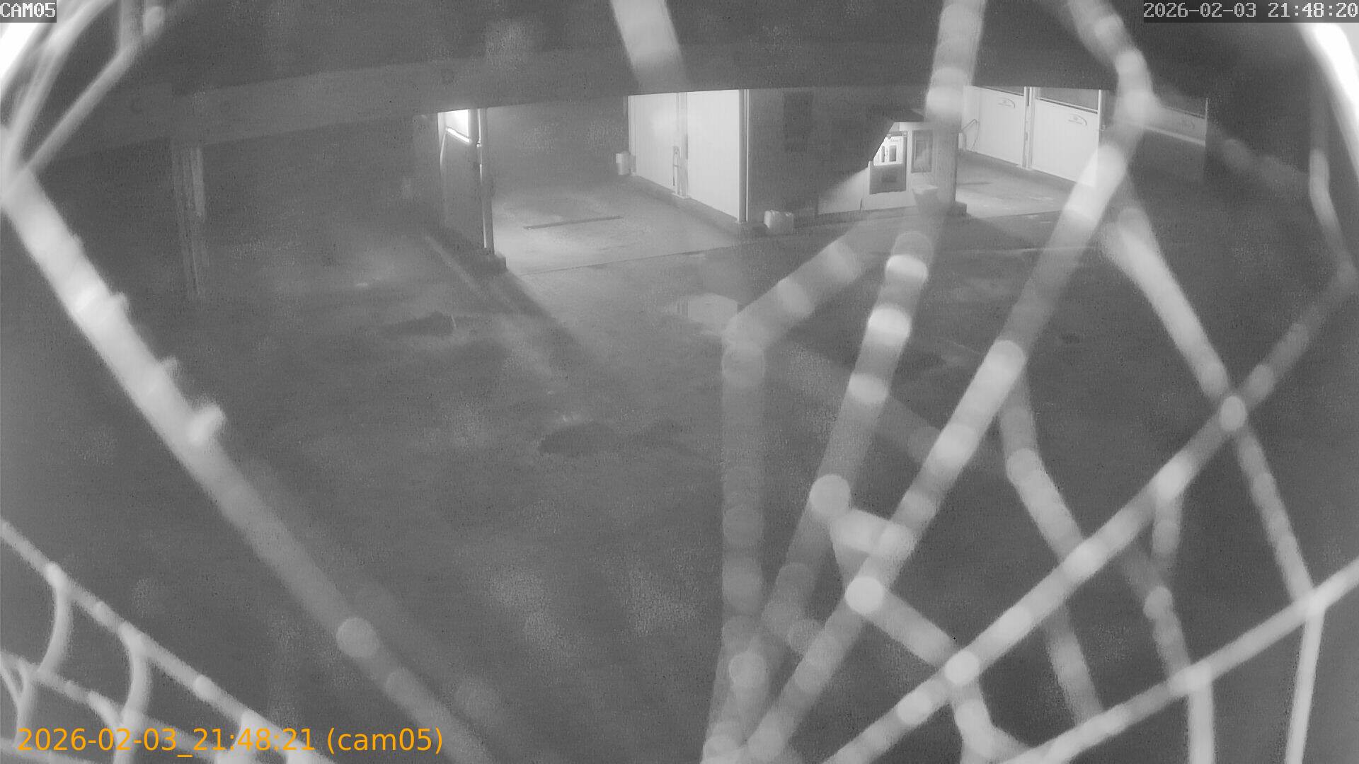 thumbnail_20260203214821