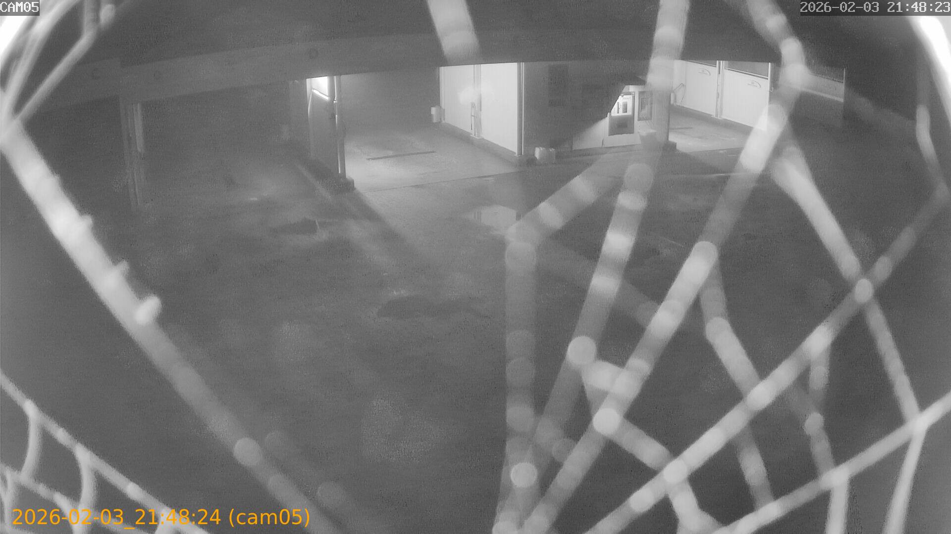 thumbnail_20260203214824