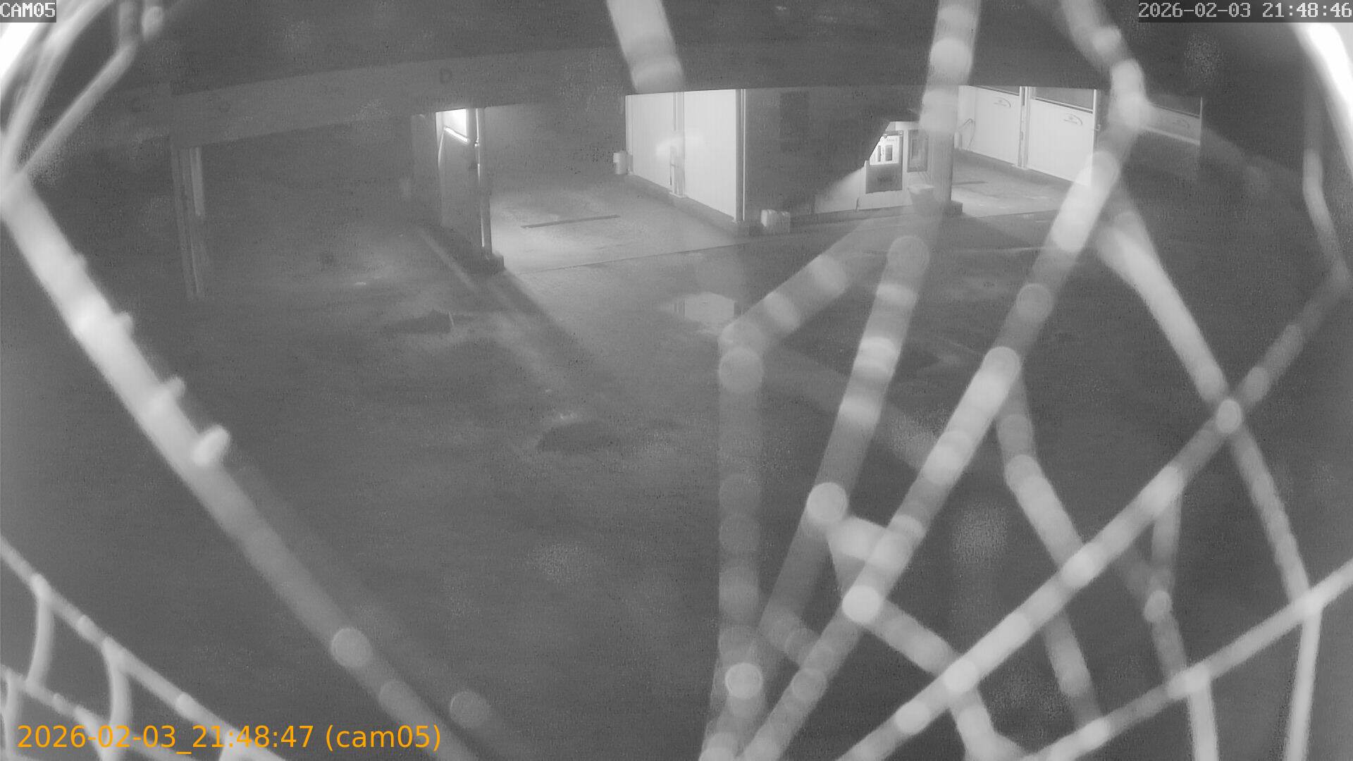 thumbnail_20260203214847