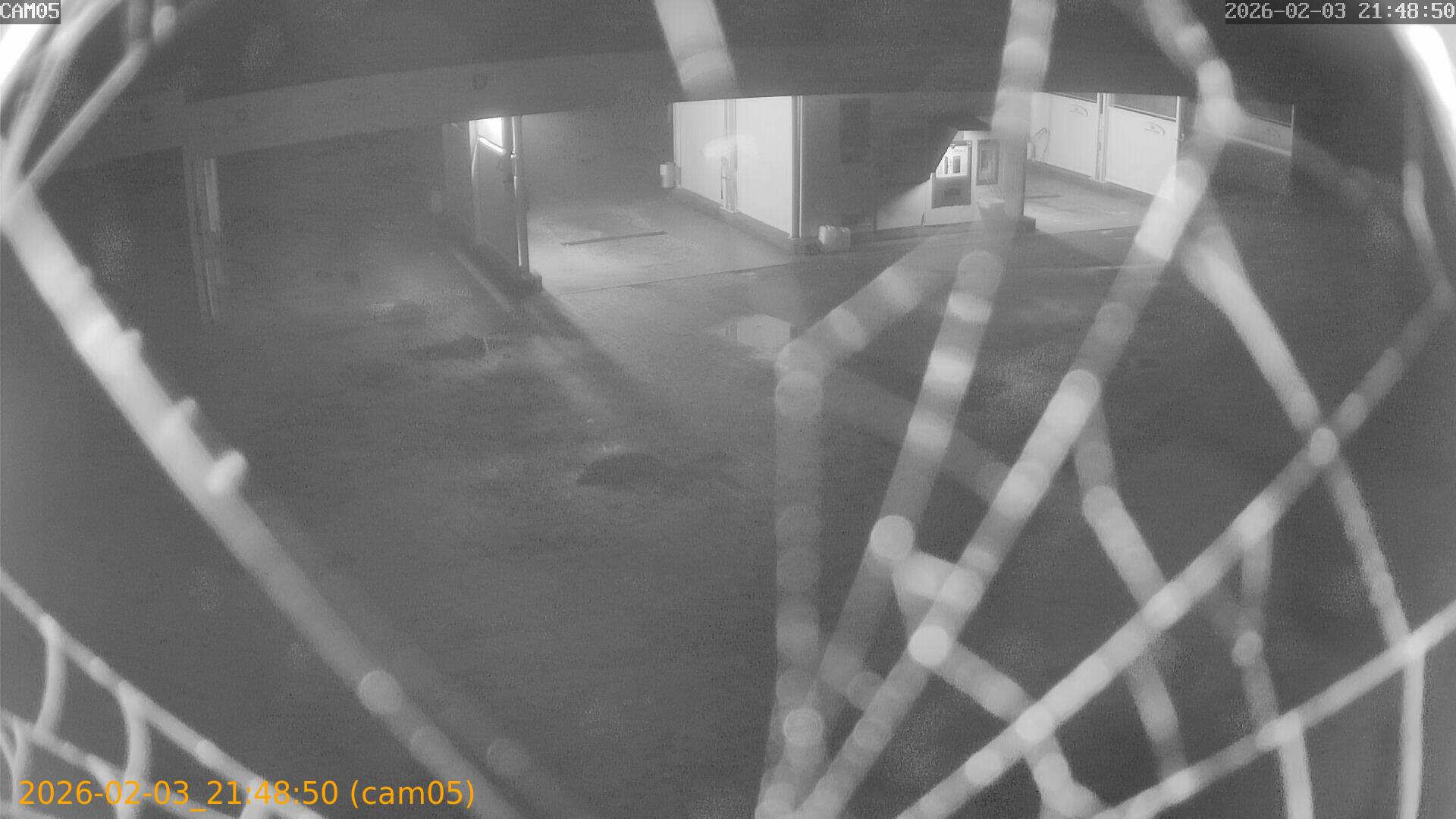 thumbnail_20260203214850