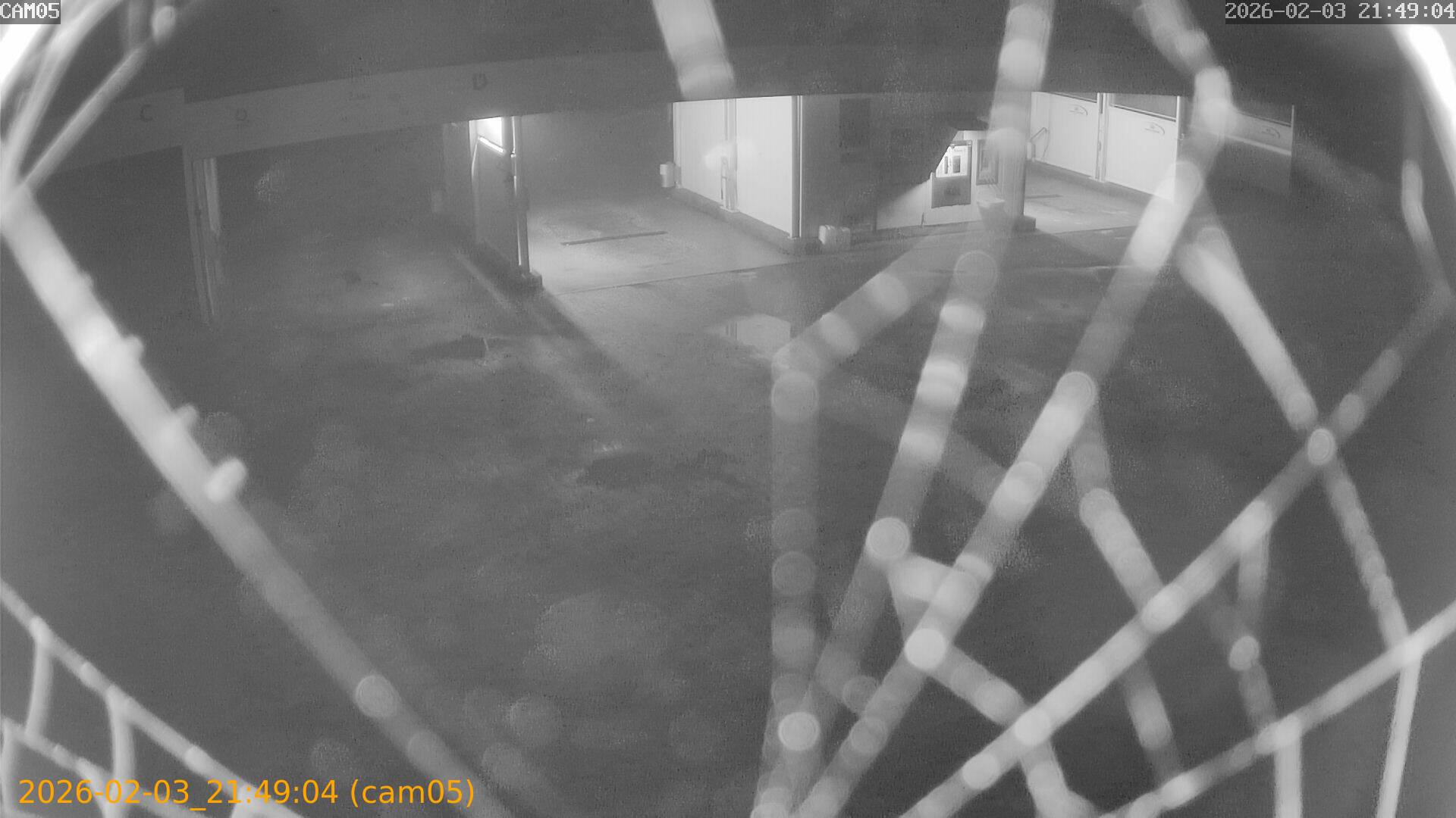 thumbnail_20260203214904