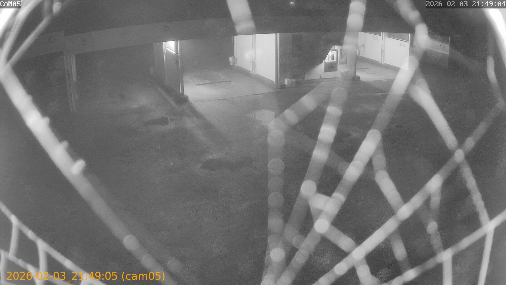 thumbnail_20260203214905