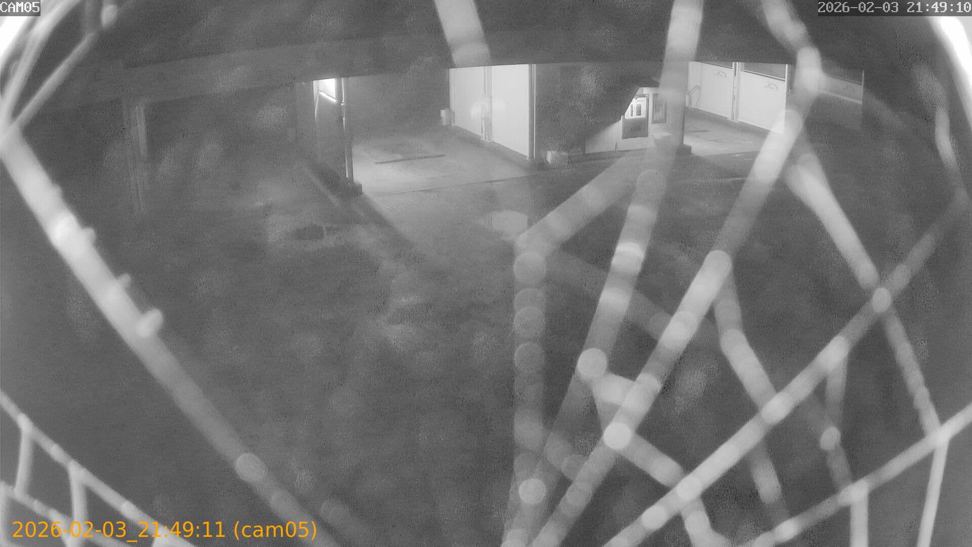 thumbnail_20260203214911