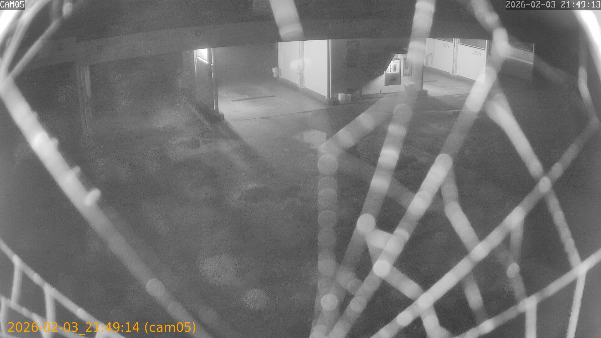 thumbnail_20260203214914