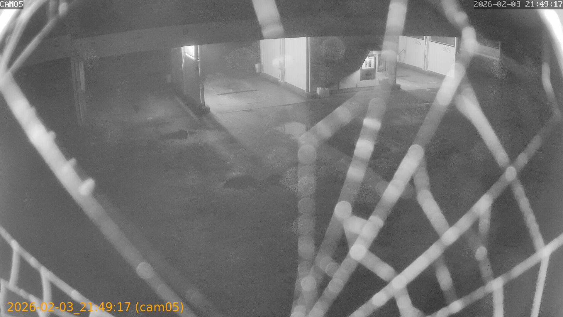 thumbnail_20260203214917