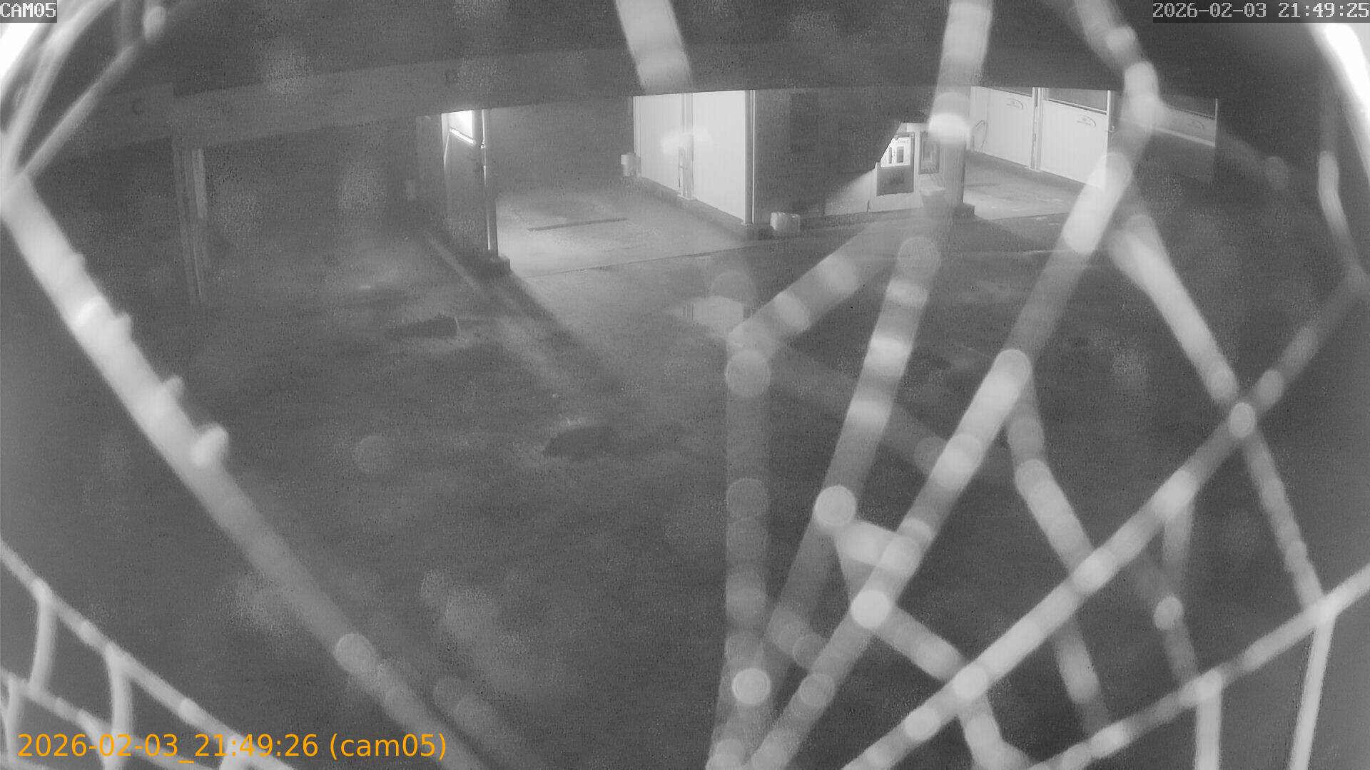 thumbnail_20260203214926