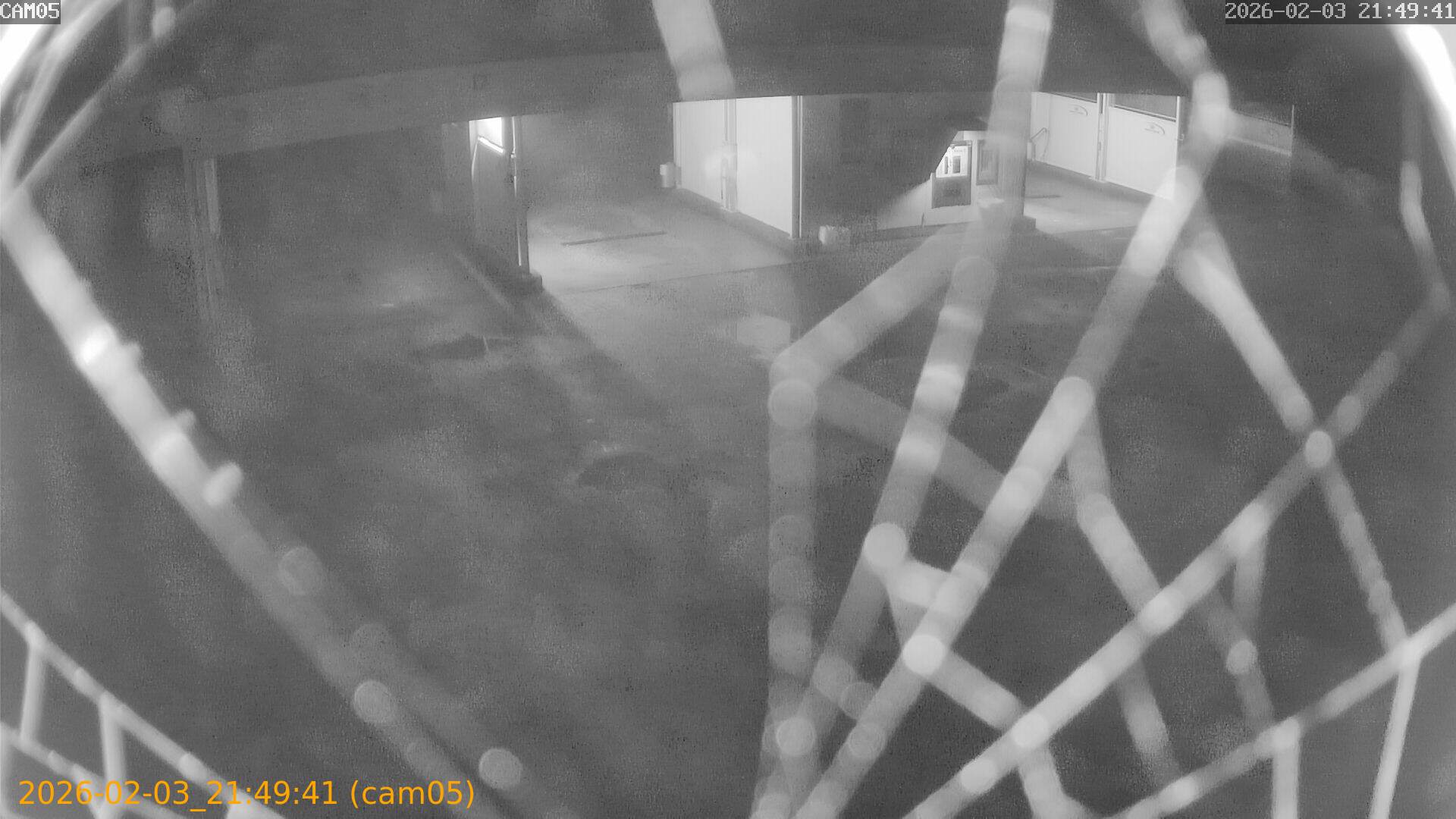 thumbnail_20260203214941