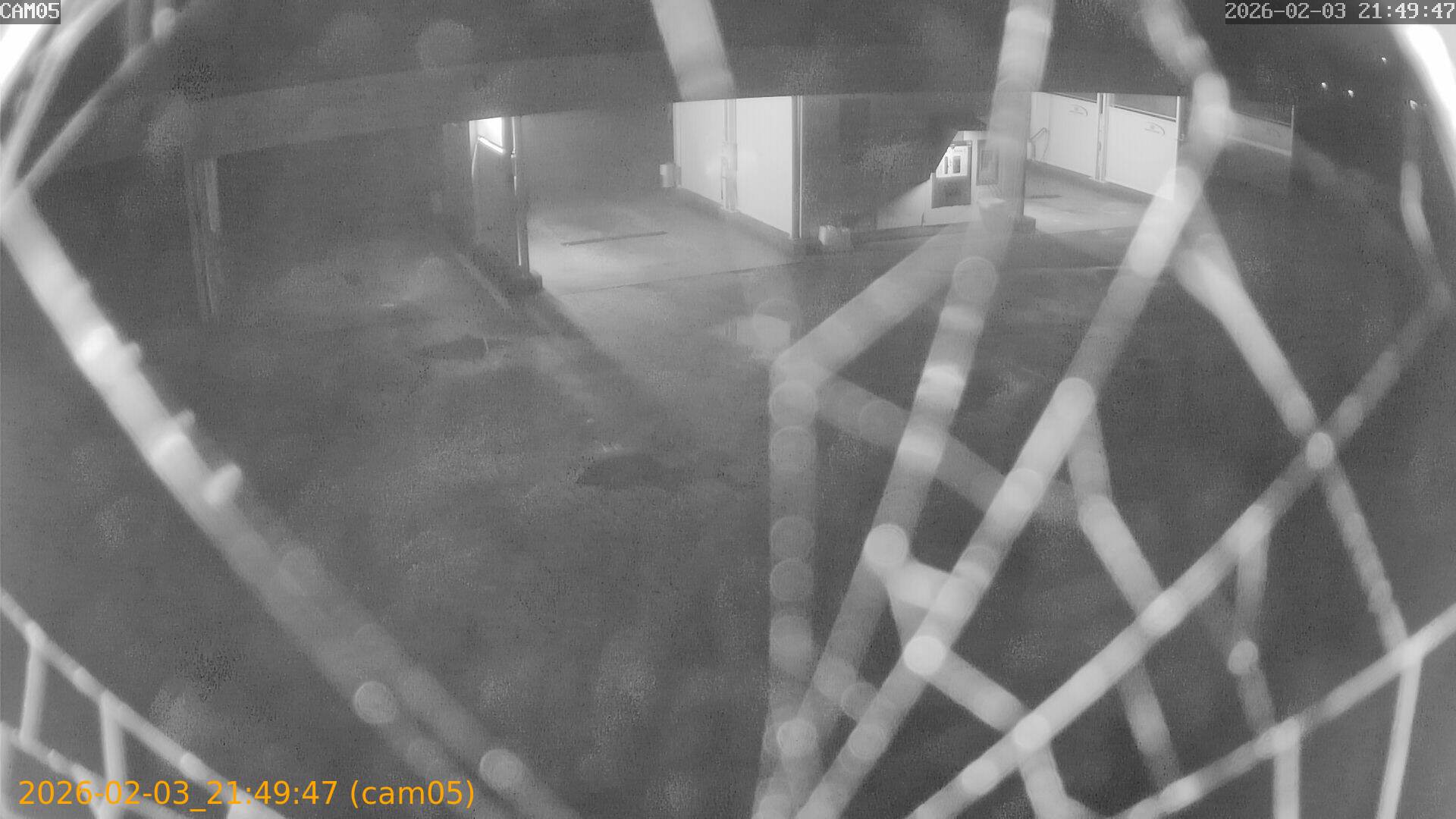 thumbnail_20260203214947