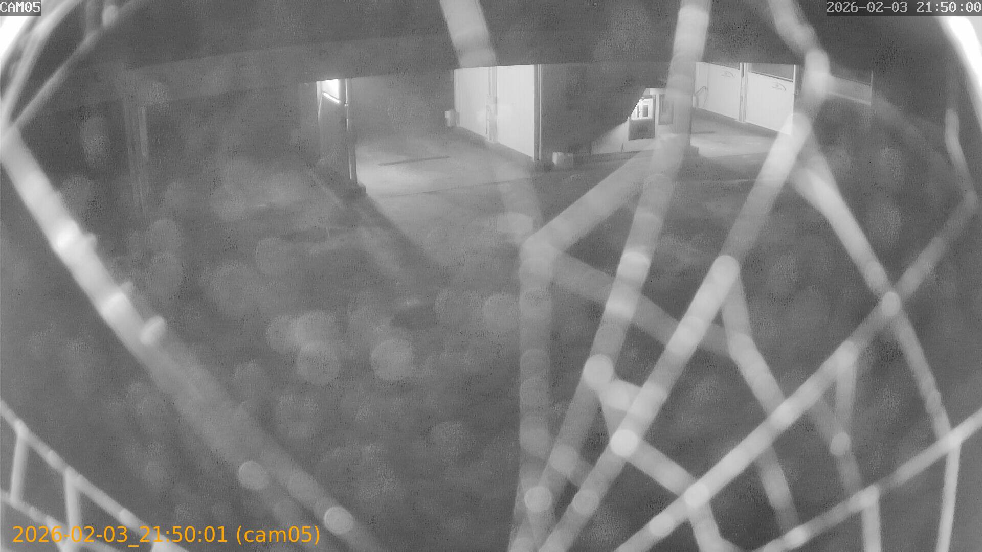 thumbnail_20260203215001