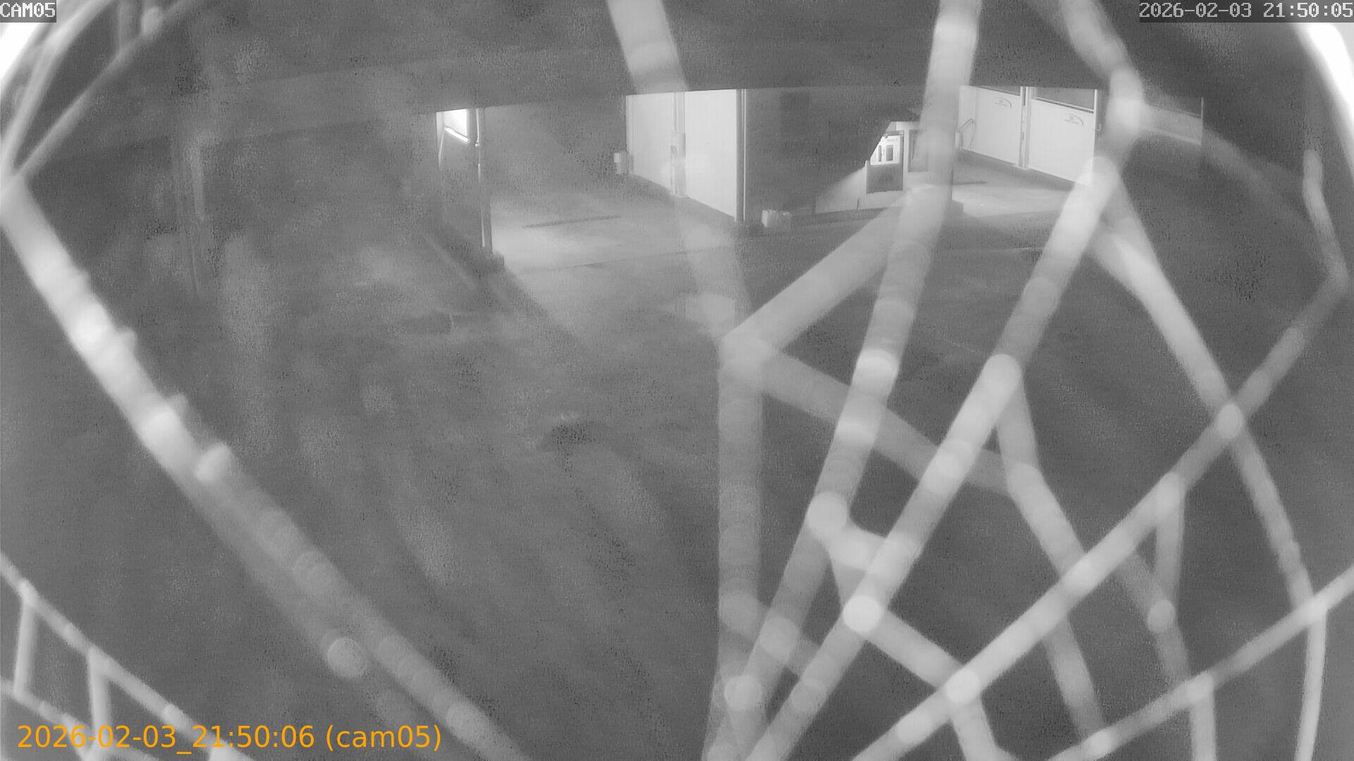 thumbnail_20260203215006