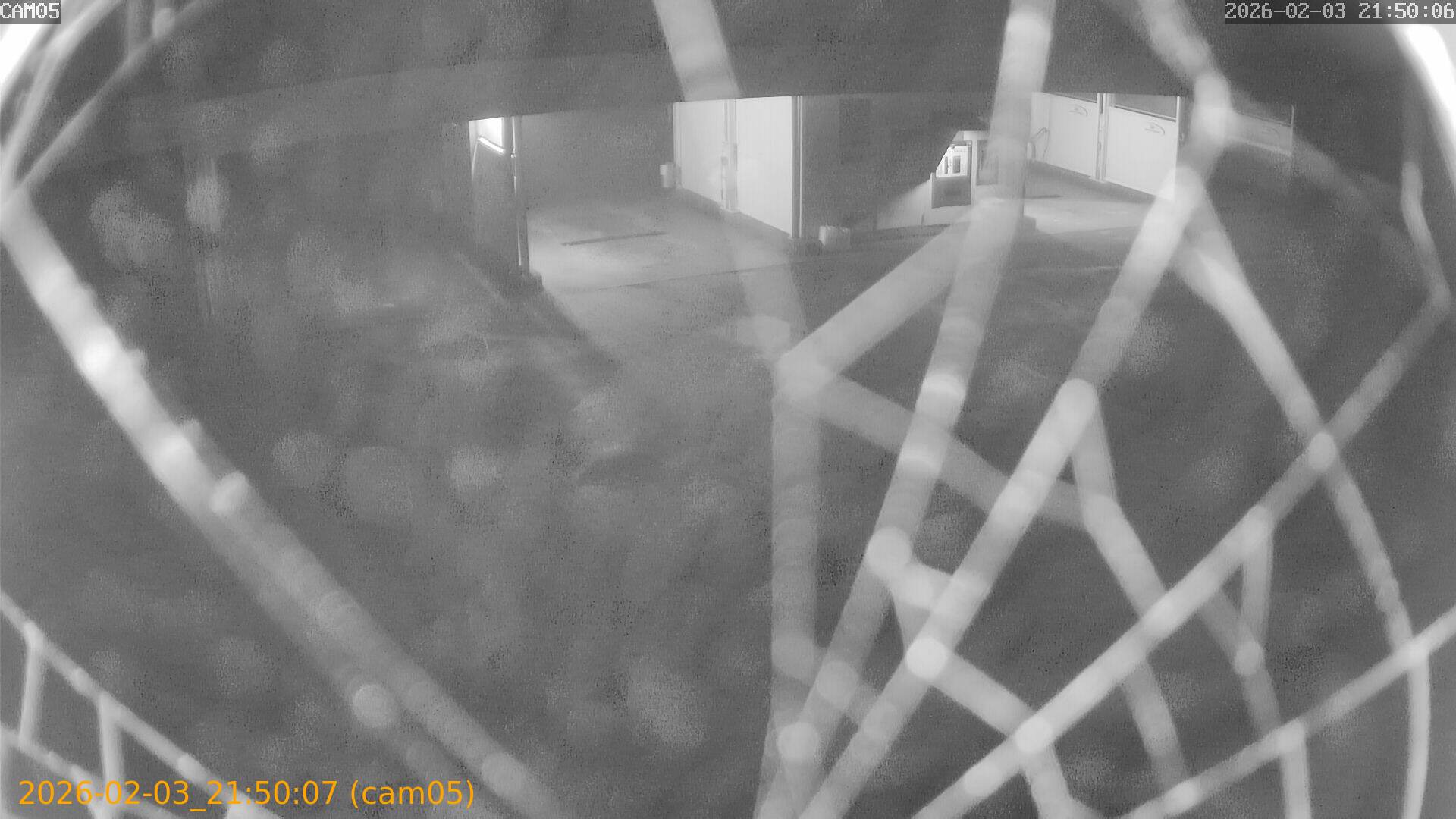 thumbnail_20260203215007