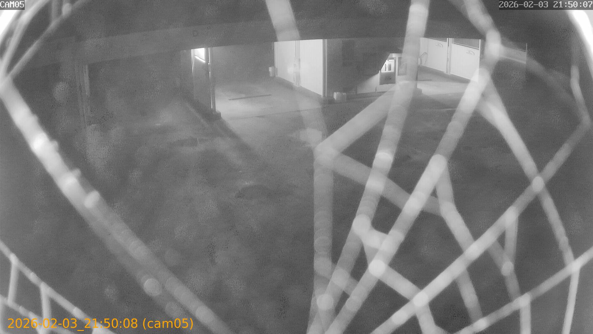 thumbnail_20260203215008