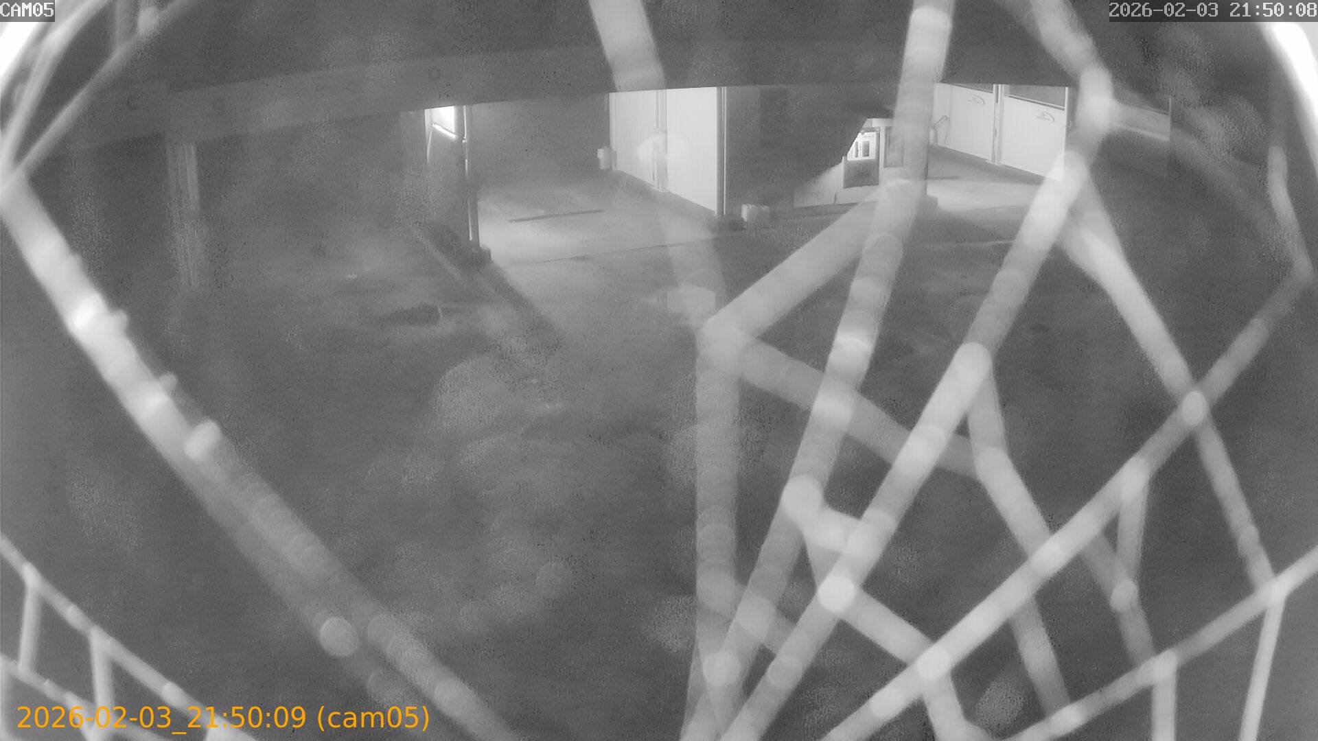 thumbnail_20260203215009