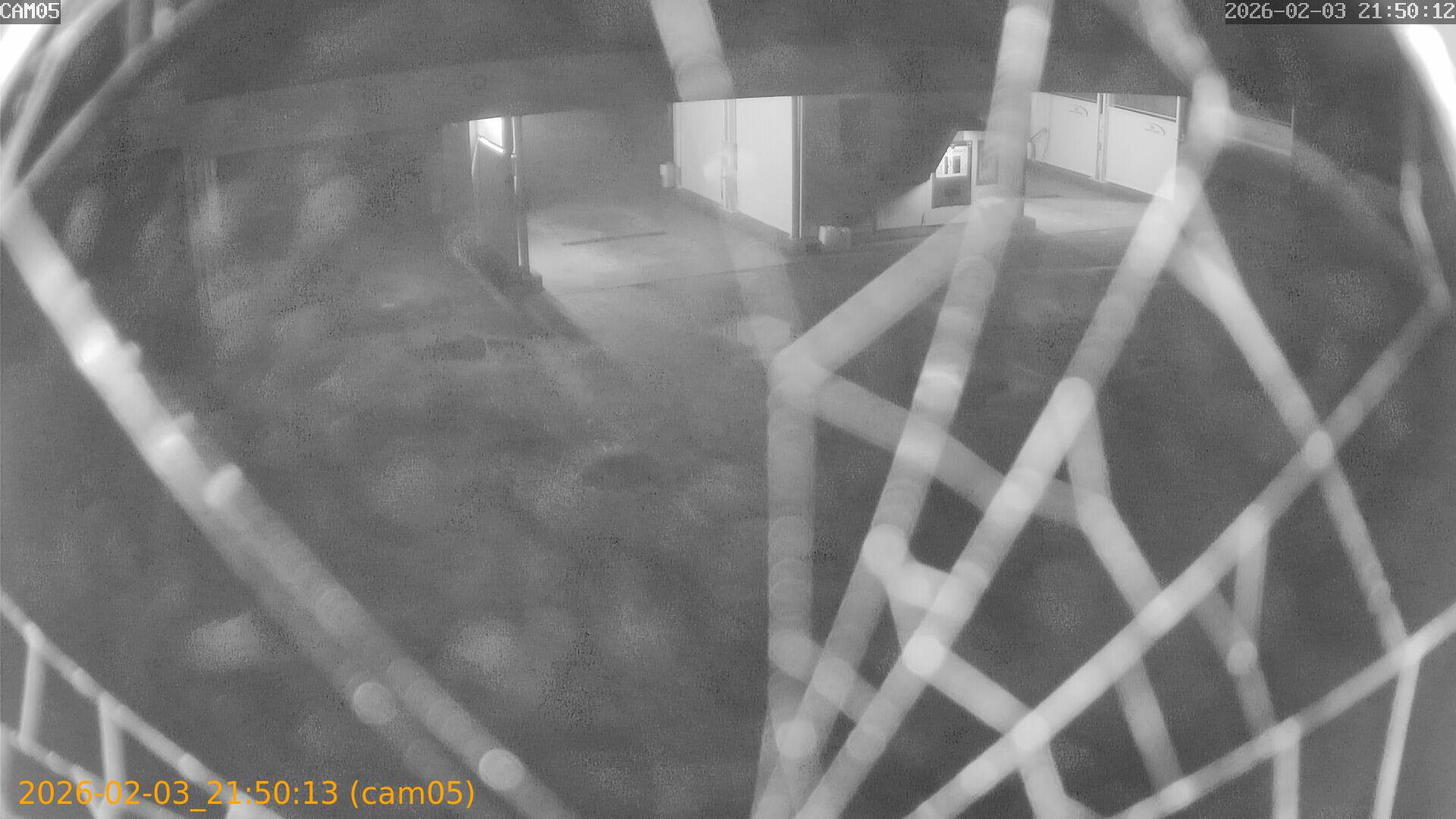 thumbnail_20260203215013