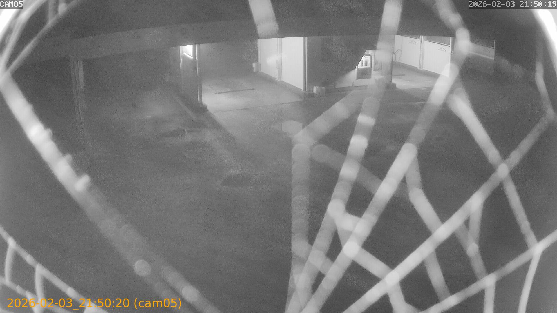 thumbnail_20260203215020