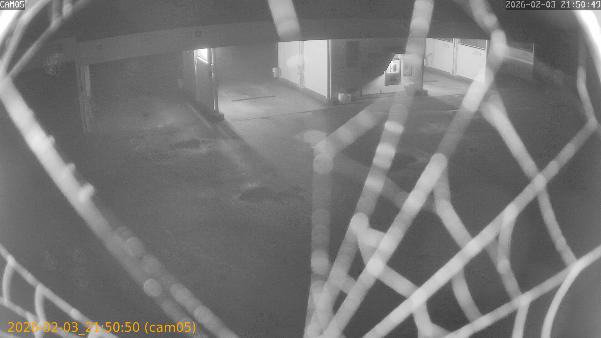 thumbnail_20260203215050