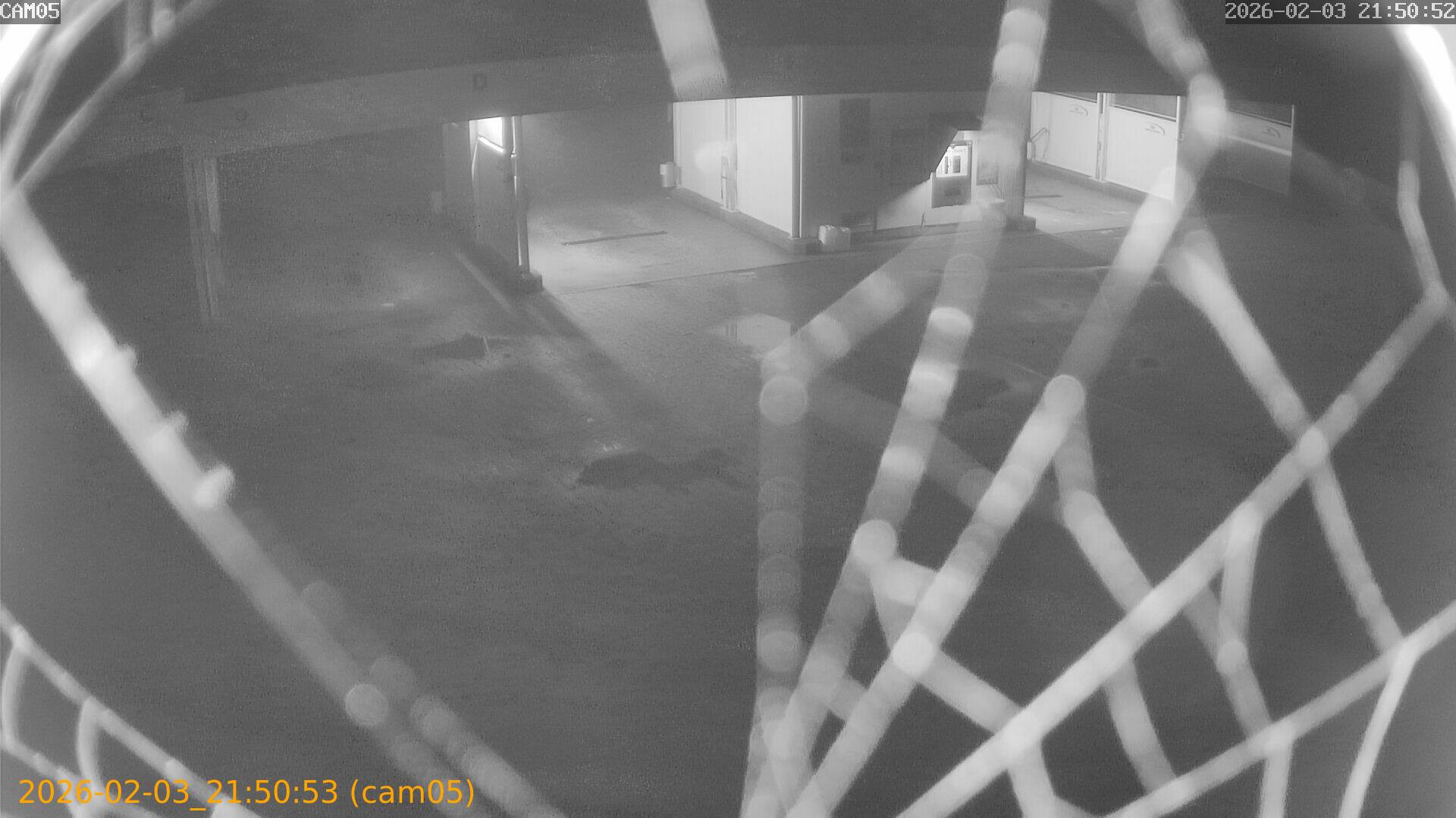 thumbnail_20260203215053