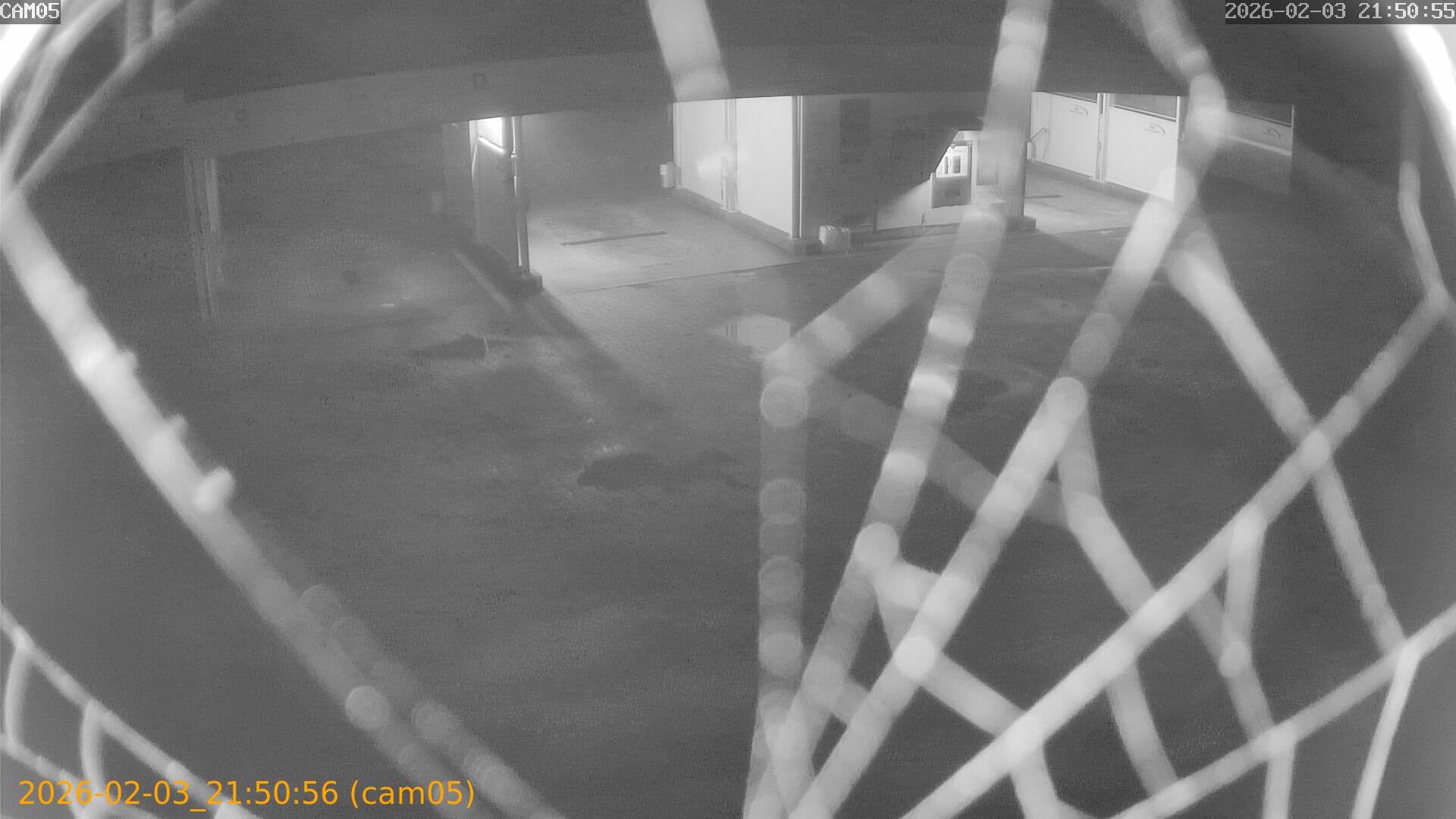 thumbnail_20260203215056