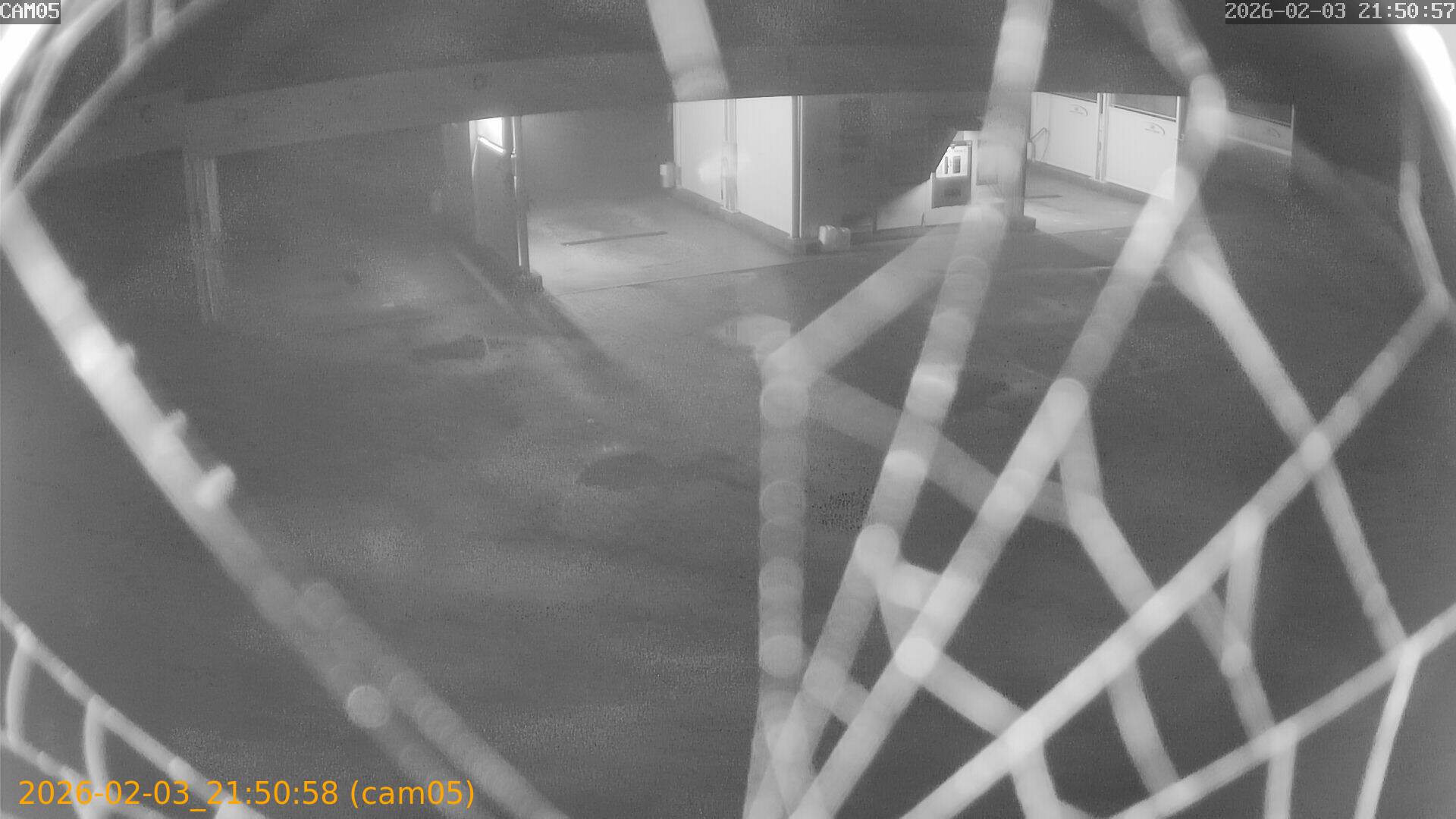 thumbnail_20260203215058