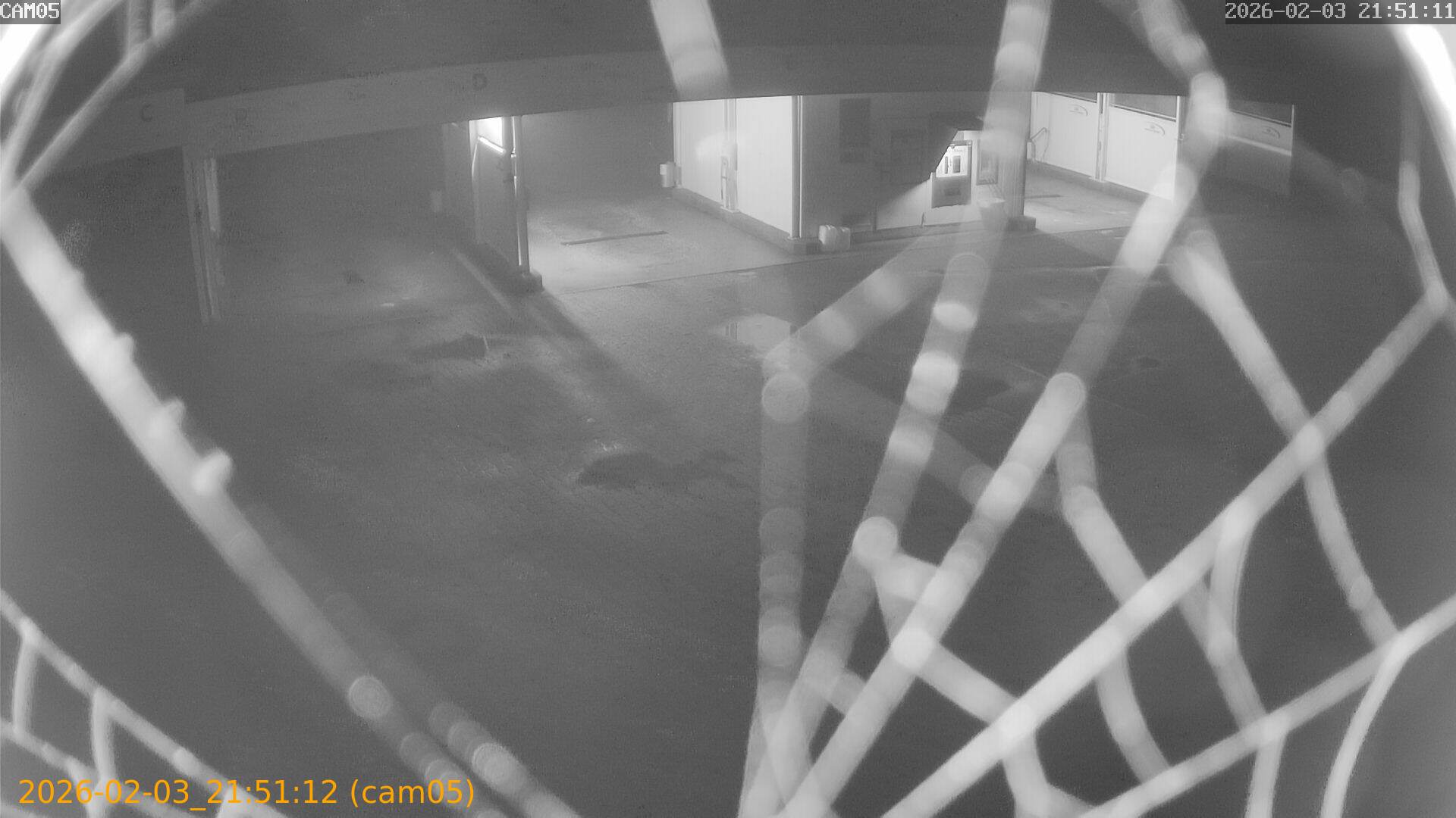 thumbnail_20260203215112