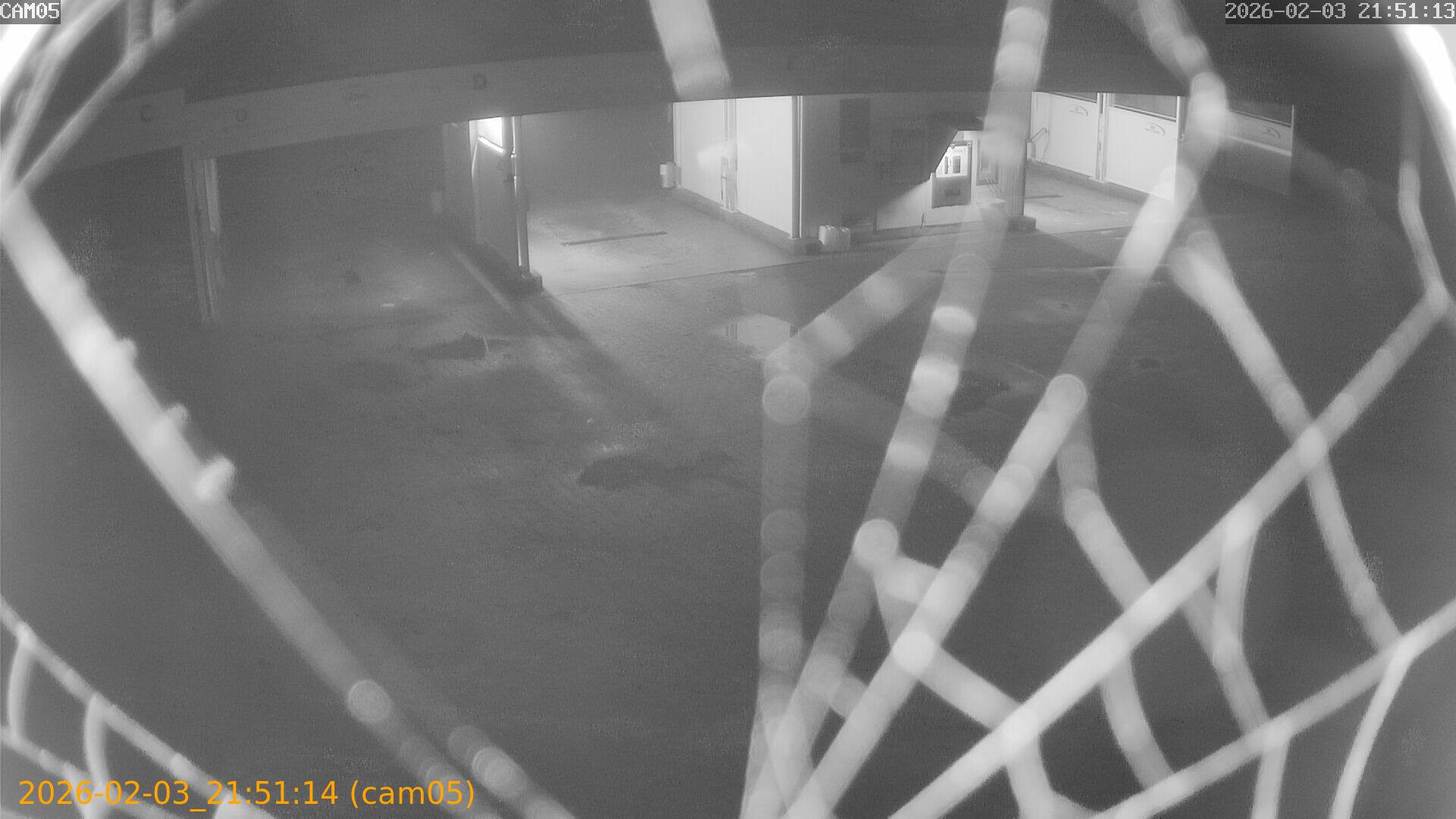 thumbnail_20260203215114