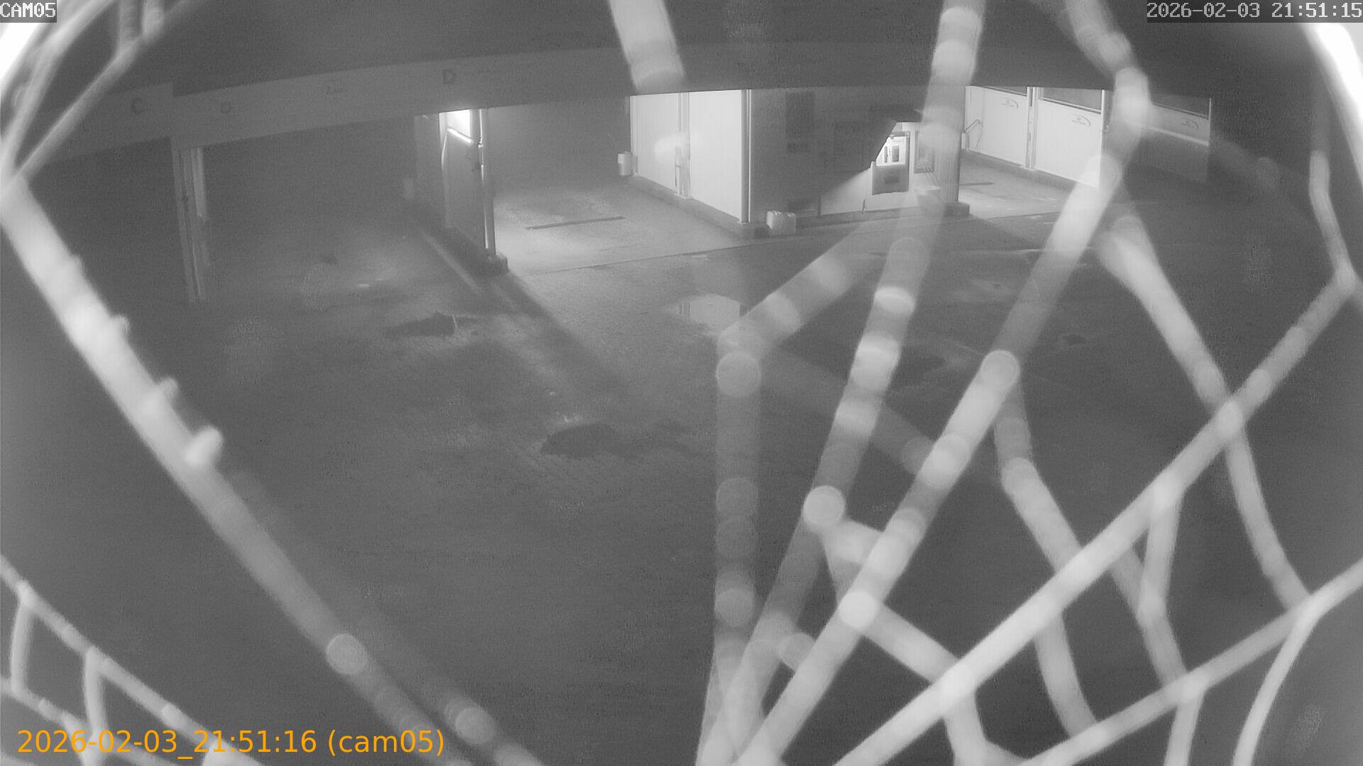 thumbnail_20260203215116