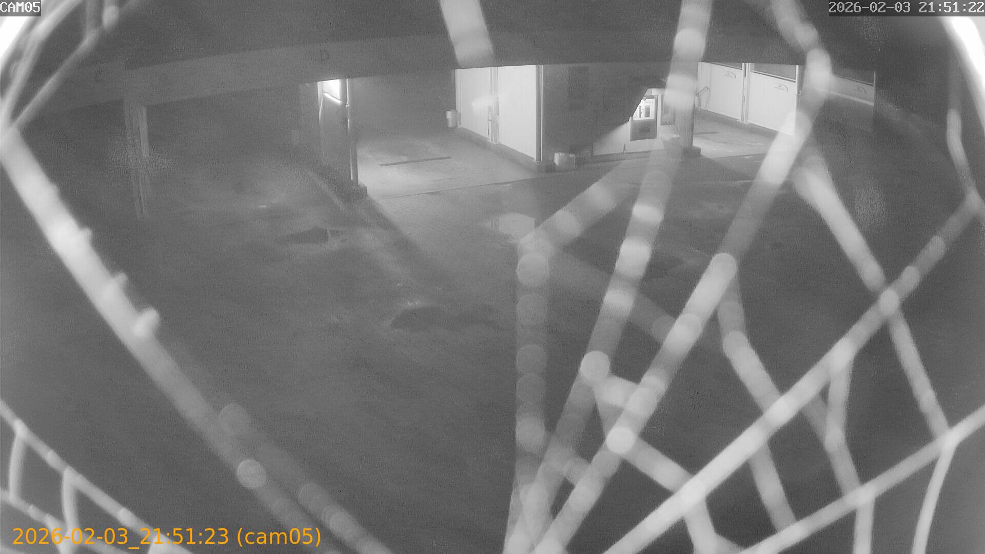 thumbnail_20260203215123