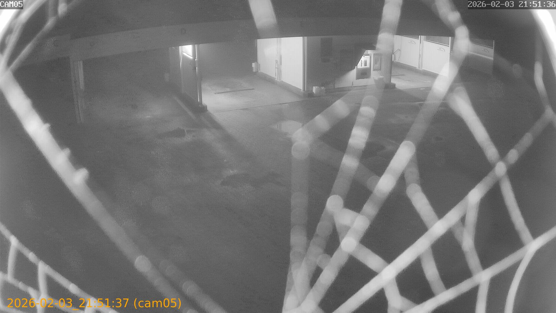 thumbnail_20260203215137