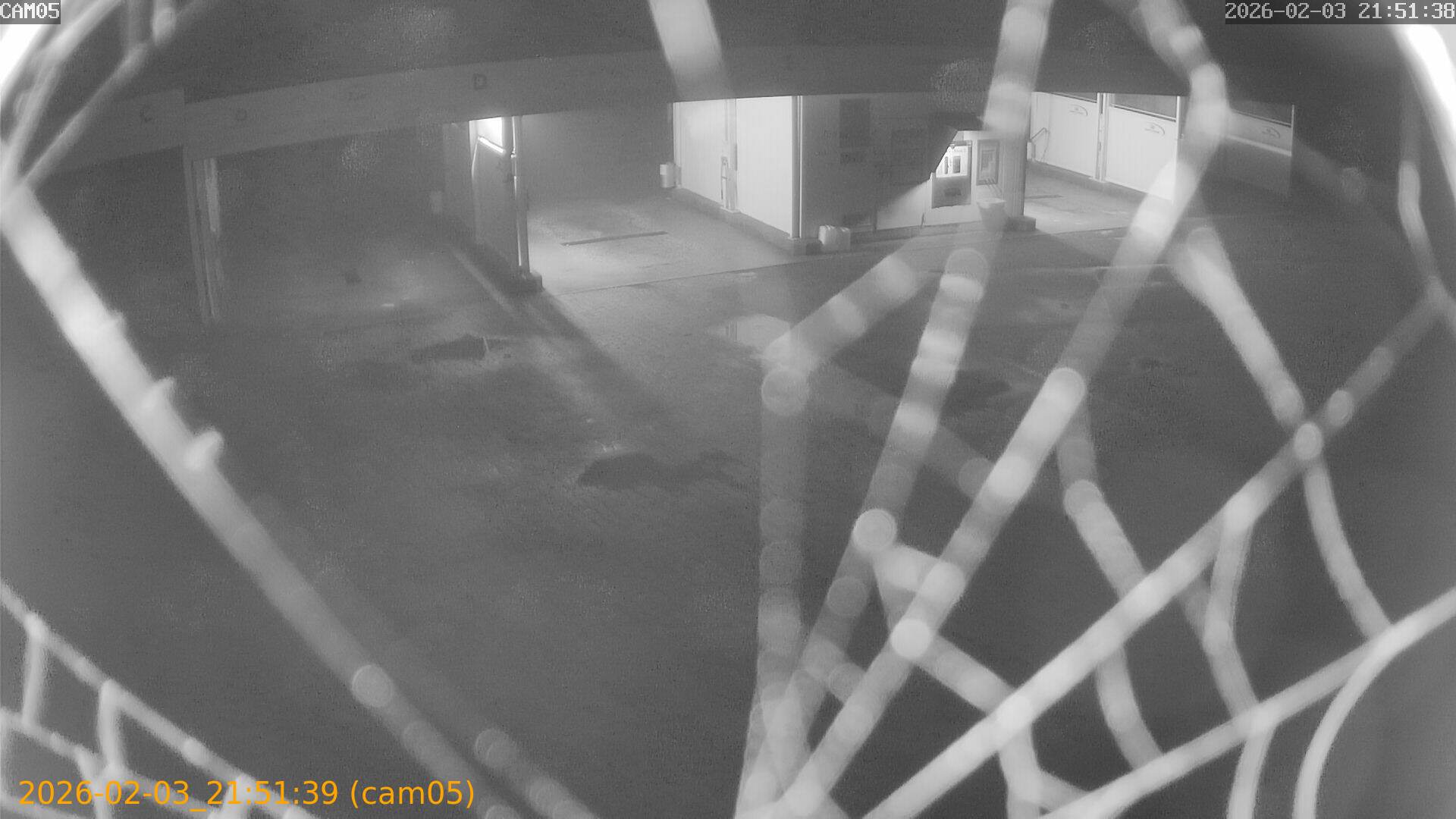 thumbnail_20260203215139