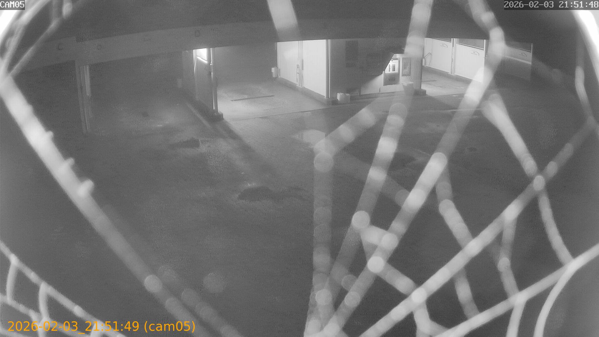 thumbnail_20260203215149