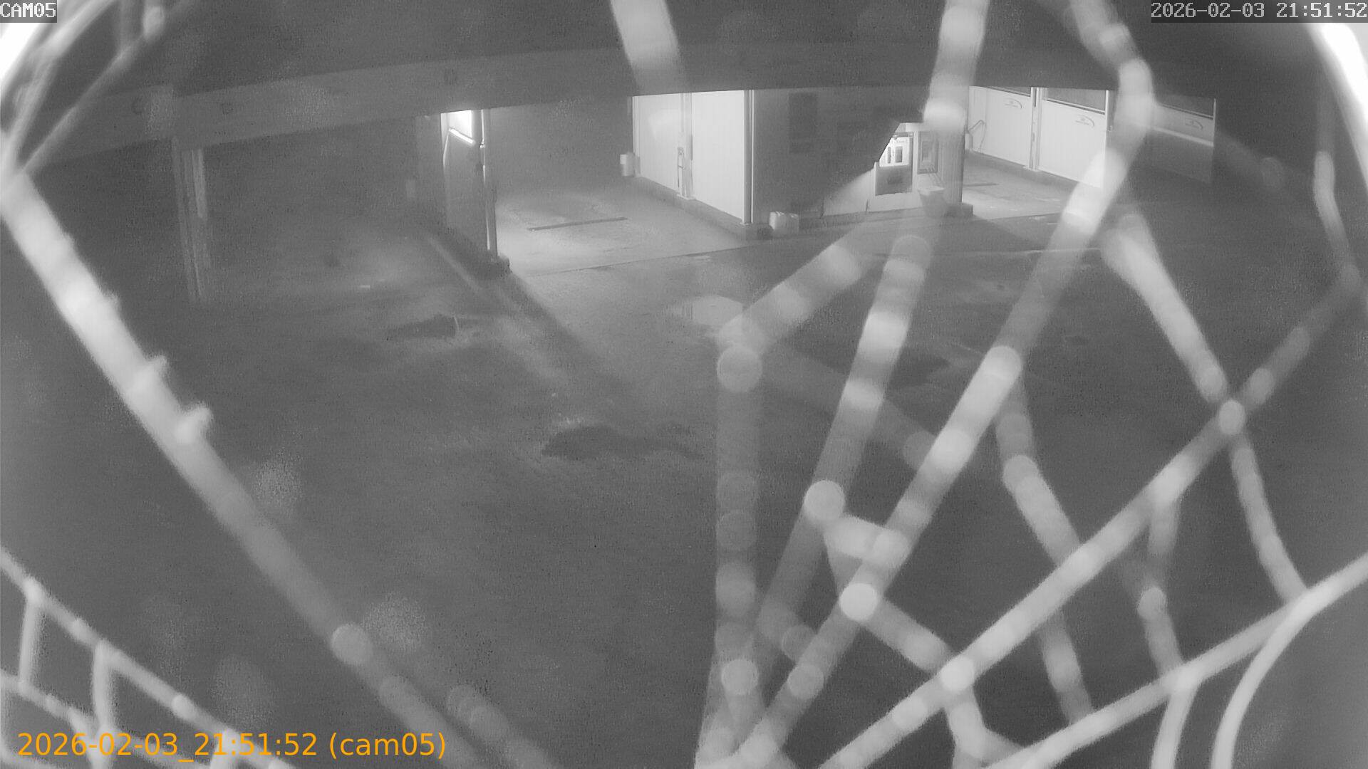 thumbnail_20260203215152