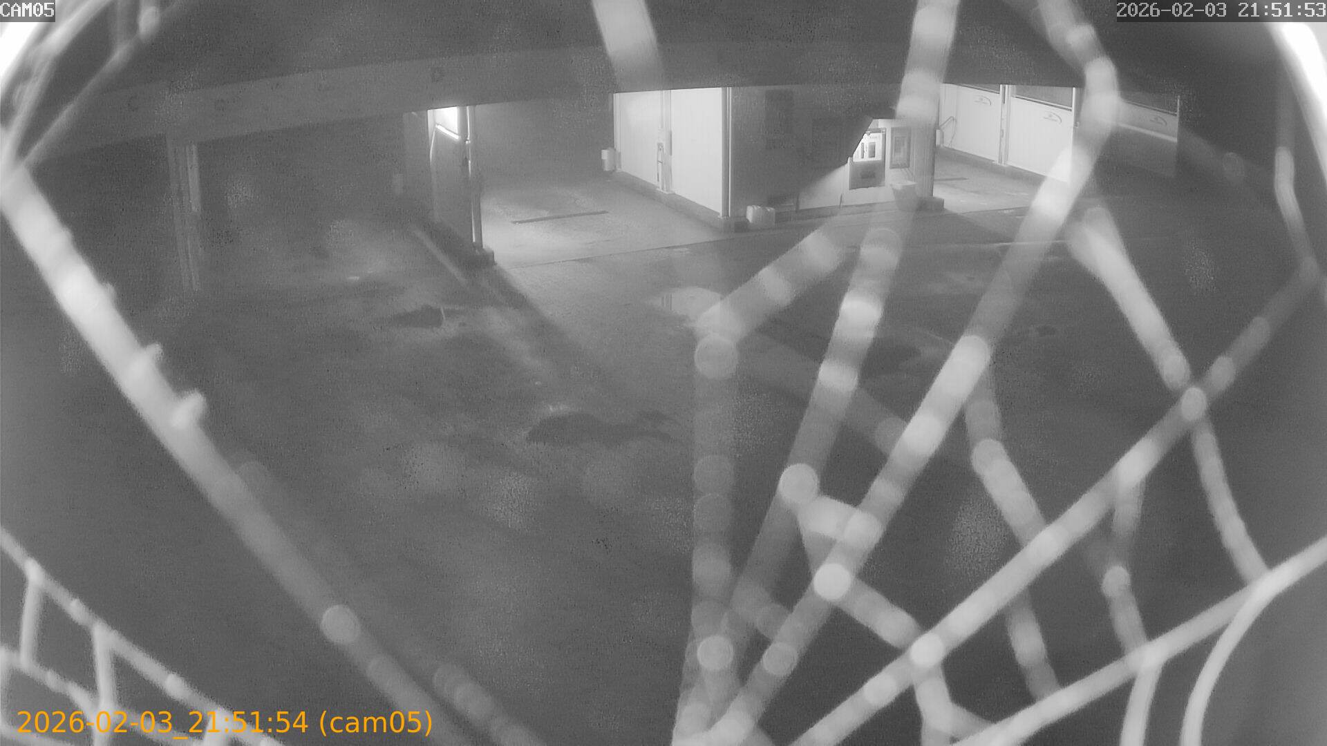 thumbnail_20260203215154