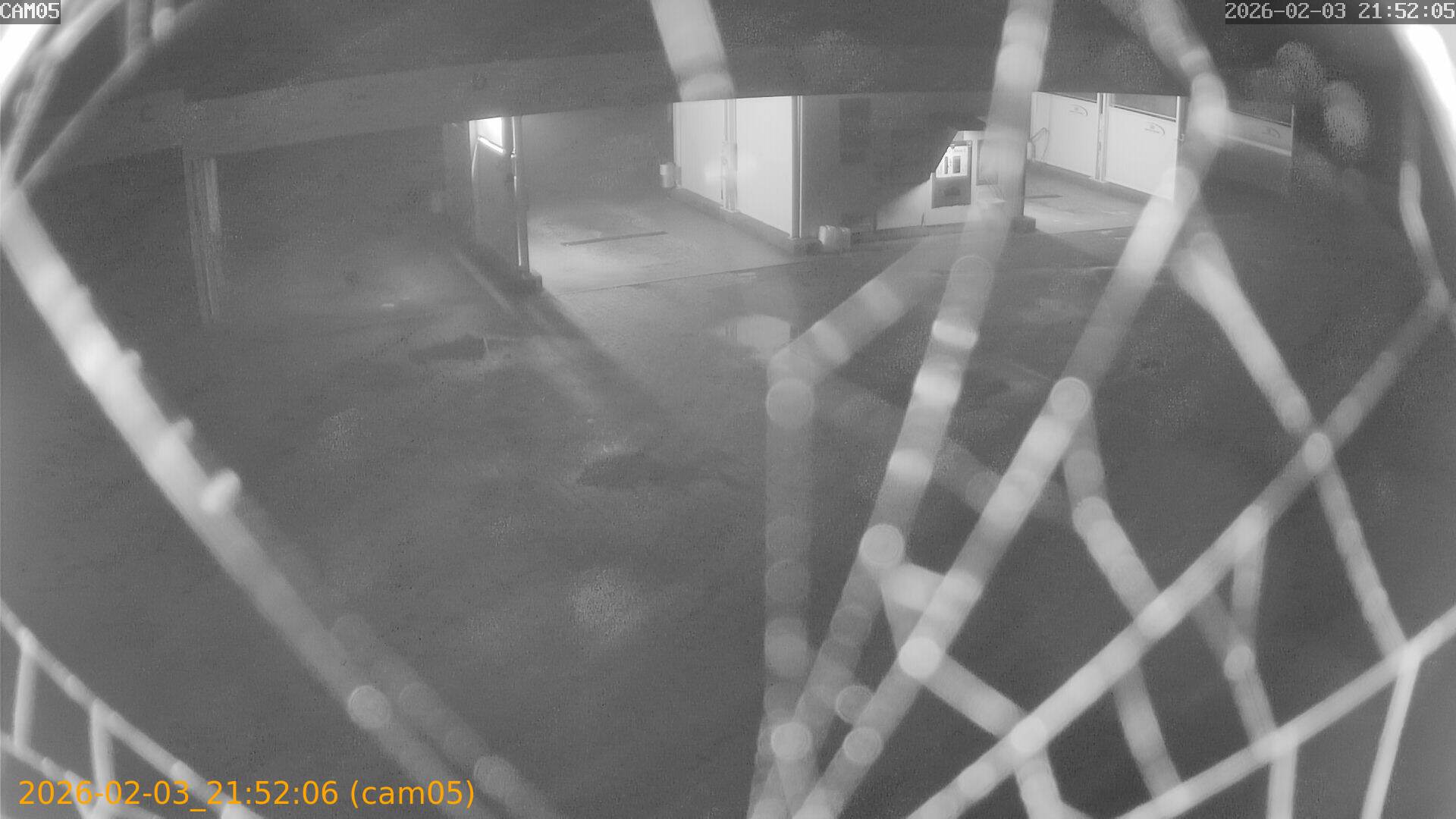 thumbnail_20260203215206