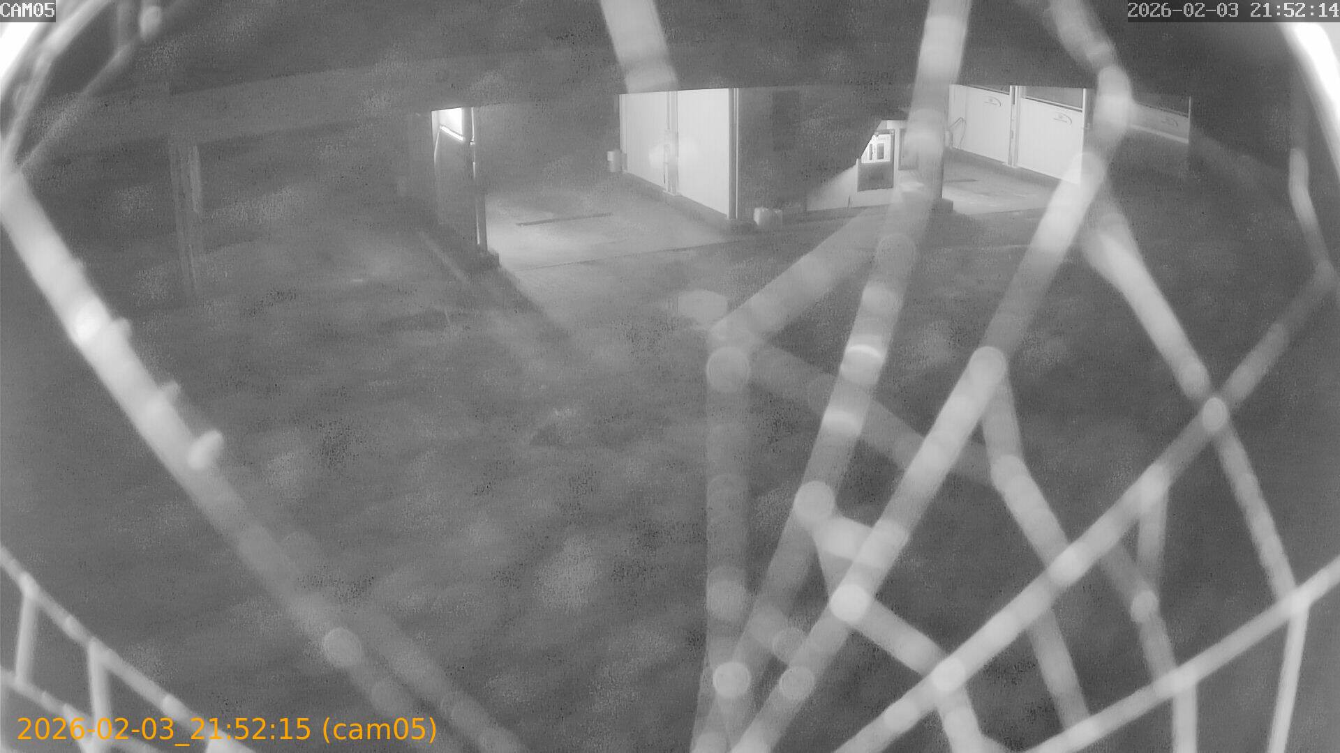 thumbnail_20260203215215