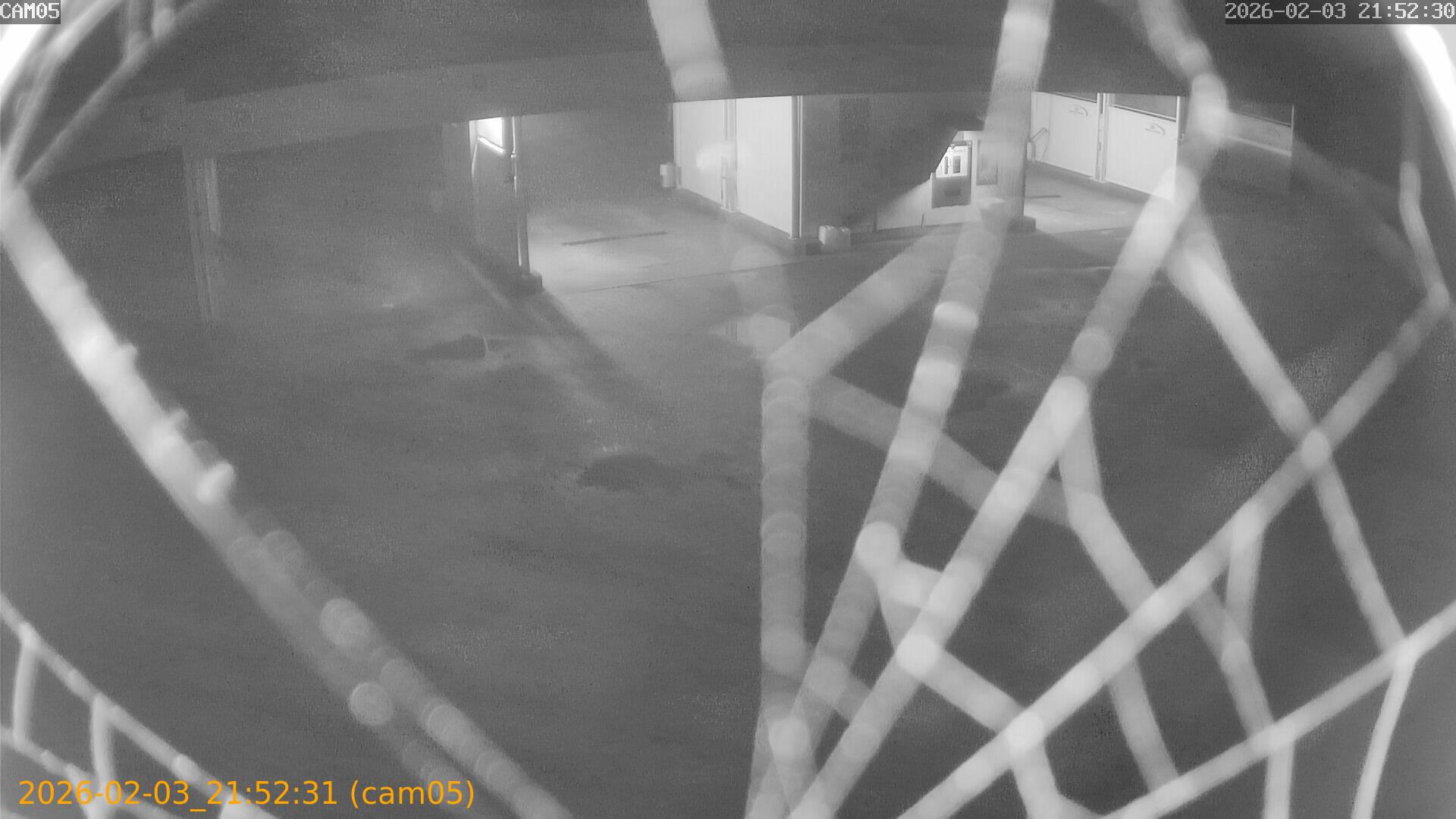 thumbnail_20260203215231