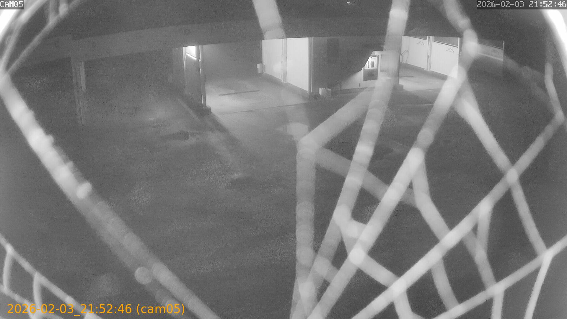 thumbnail_20260203215246