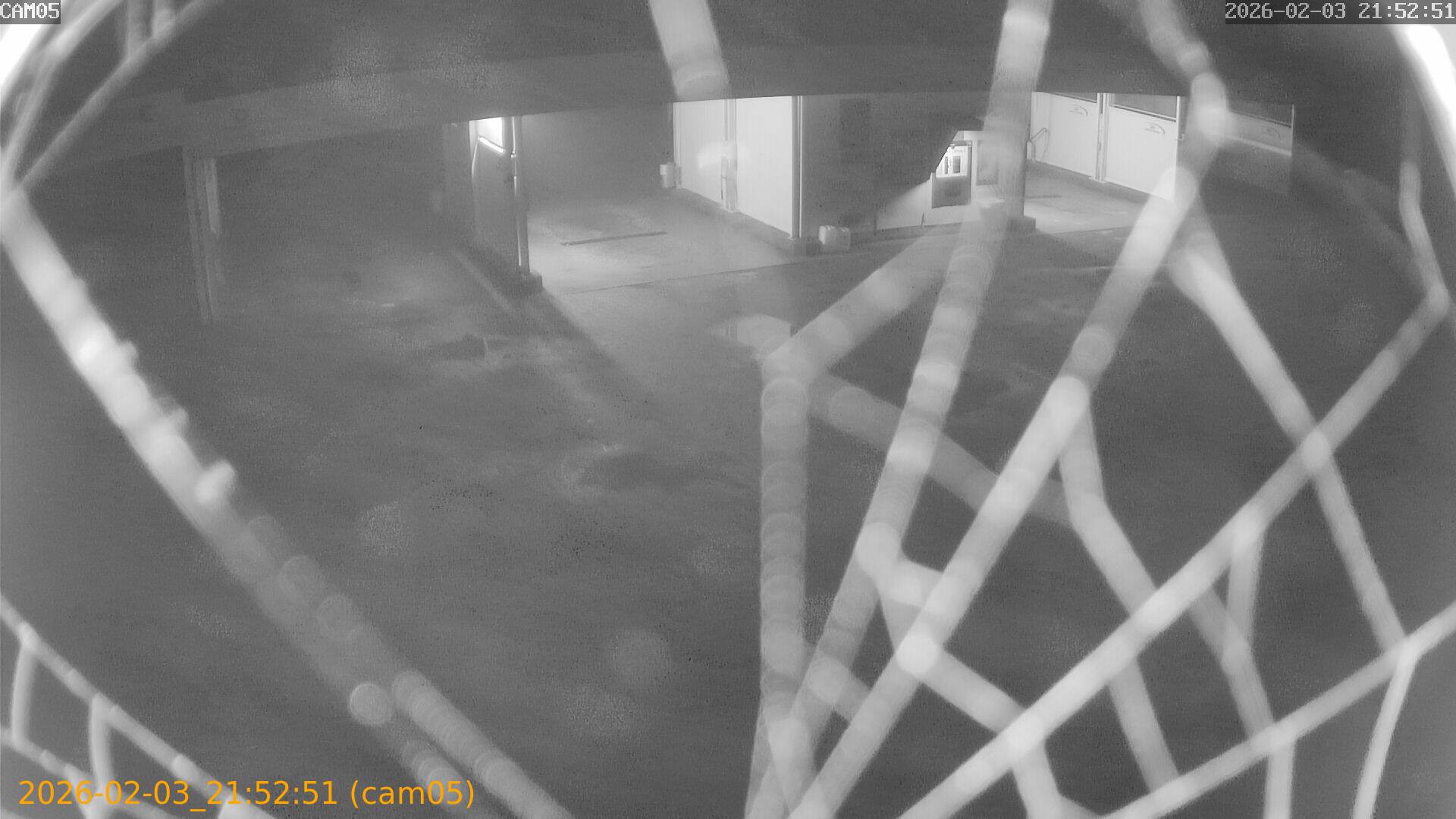 thumbnail_20260203215251