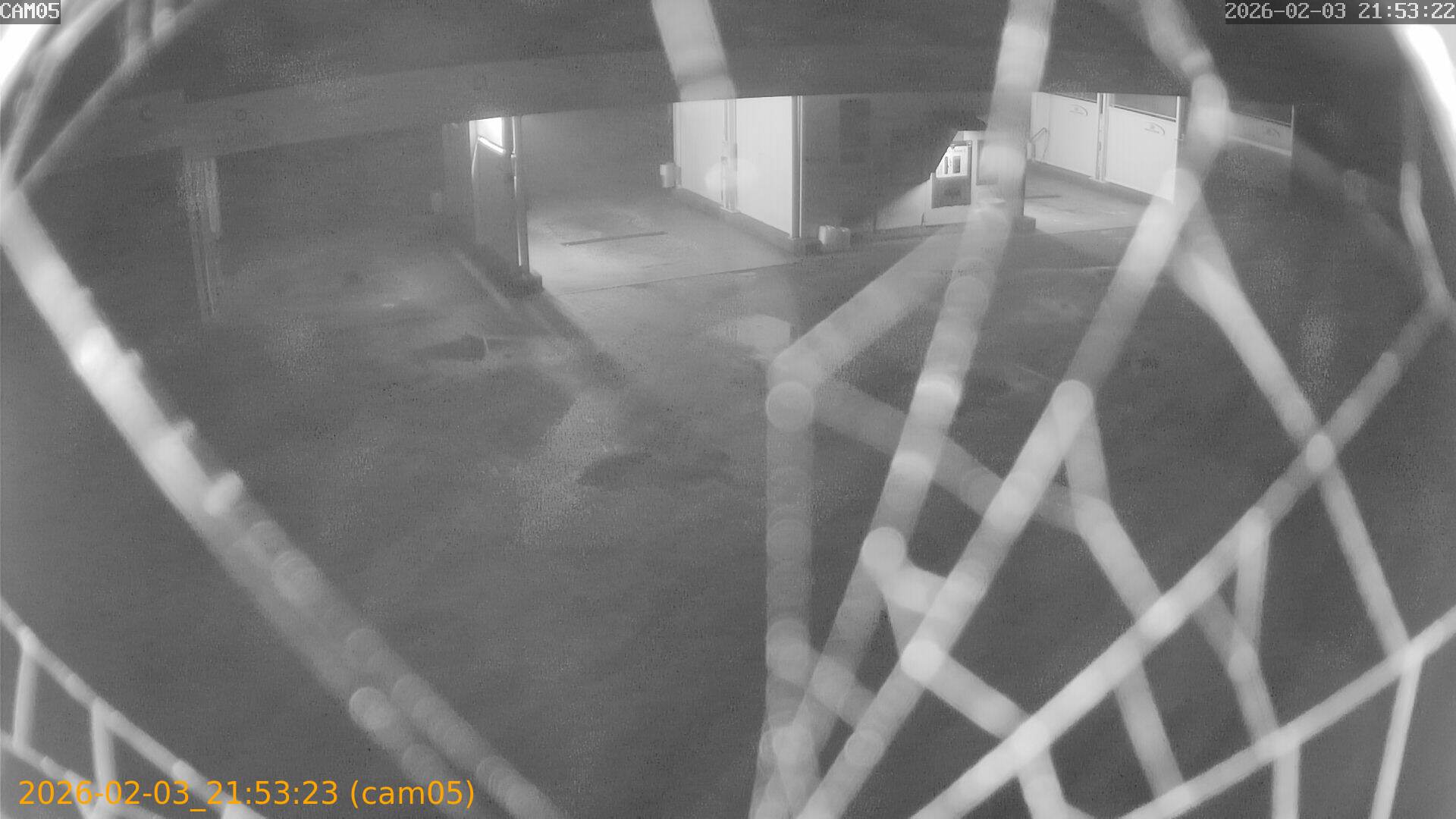 thumbnail_20260203215323